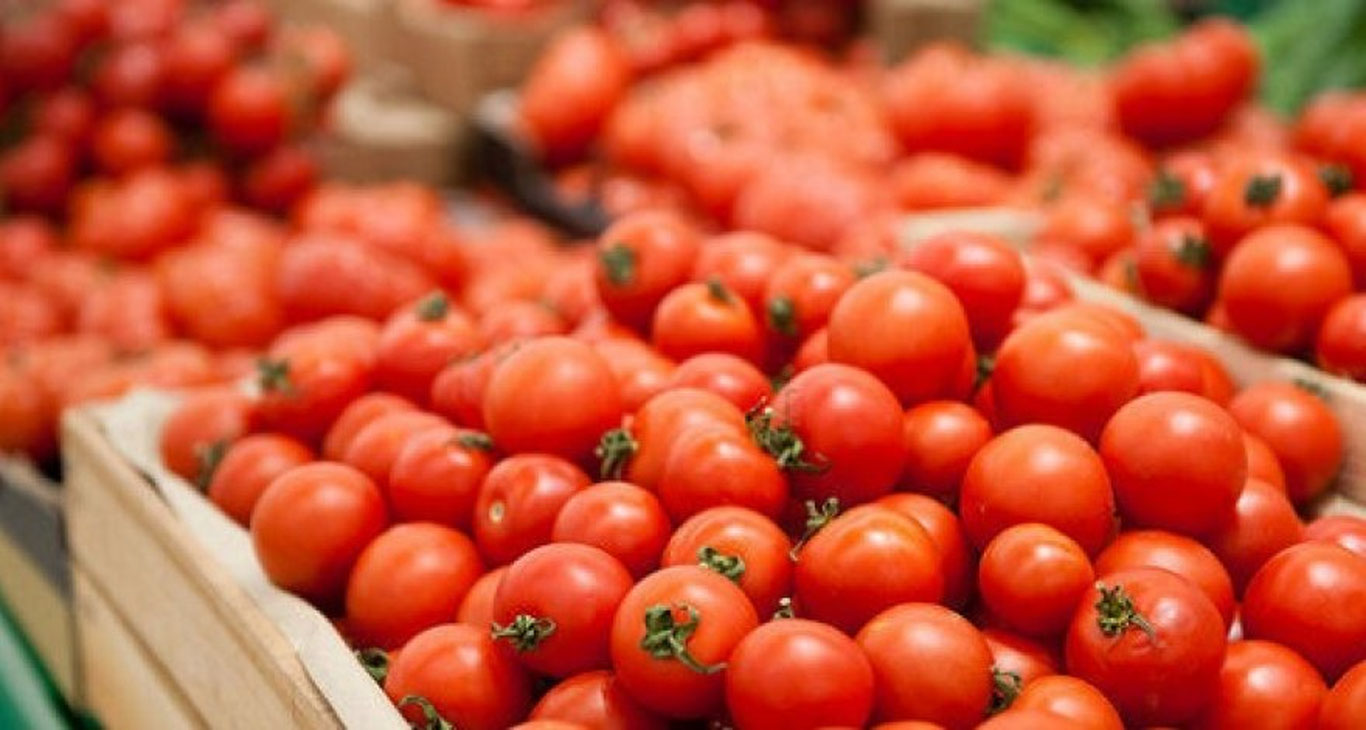 Rossiyada Buxorodan pomidor va qalampir import qilishga cheklov qo‘yildi