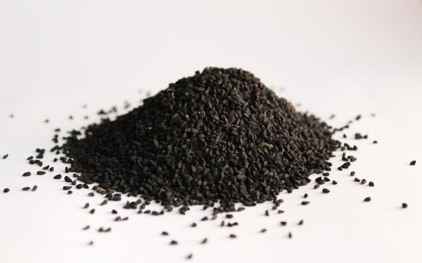 Nigella sativa (qora sedana) o‘simligi koronavirus infeksiyasiga qarshi kurashuvchi xususiyatga ega
