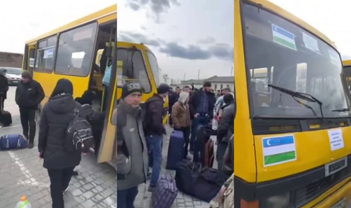 Украинадаги ўзбек фуқароларининг қанчаси эвакуация қилинди?