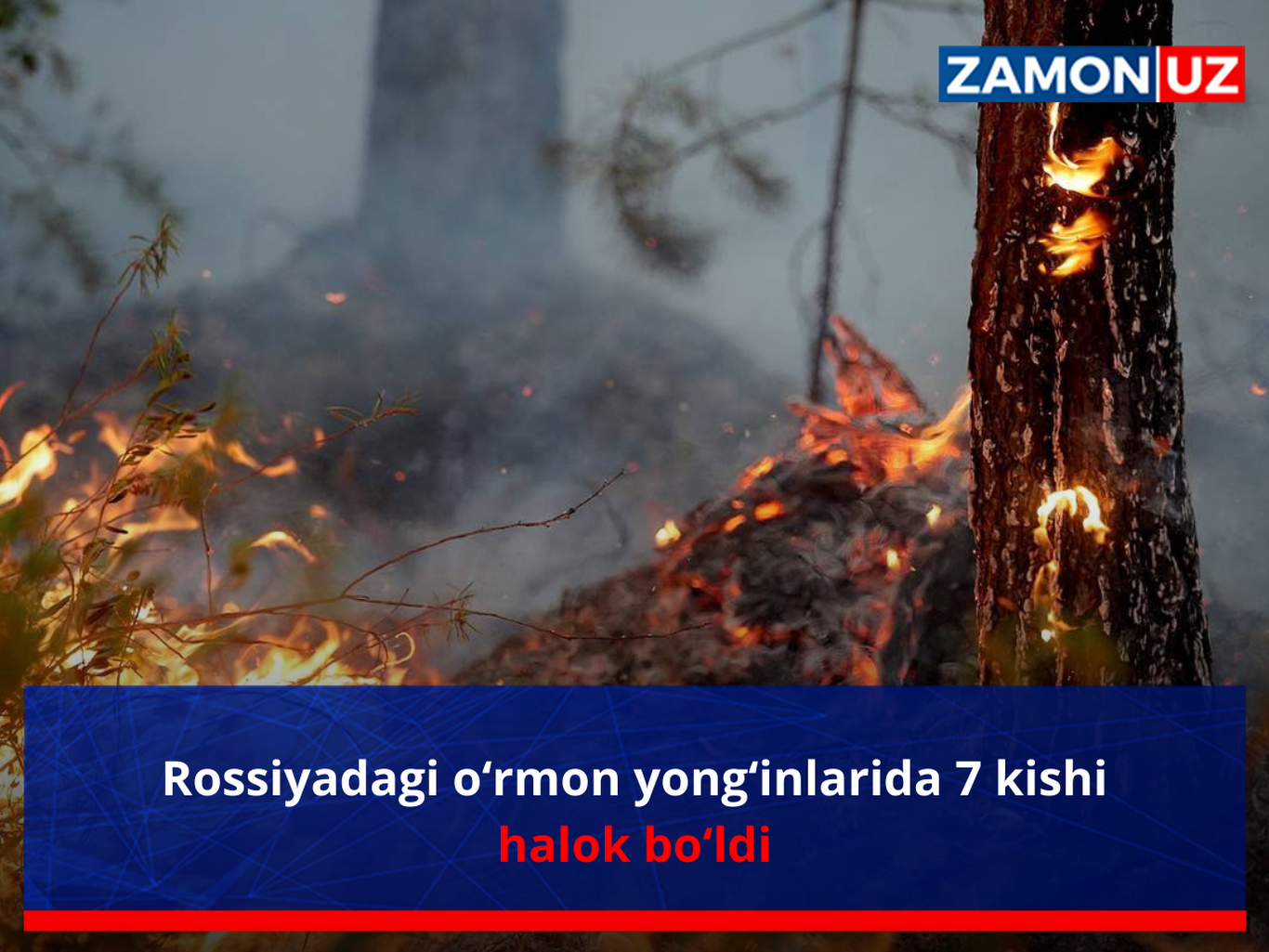 Rossiyadagi o‘rmon yong‘inlarida 7 kishi halok bo‘ldi