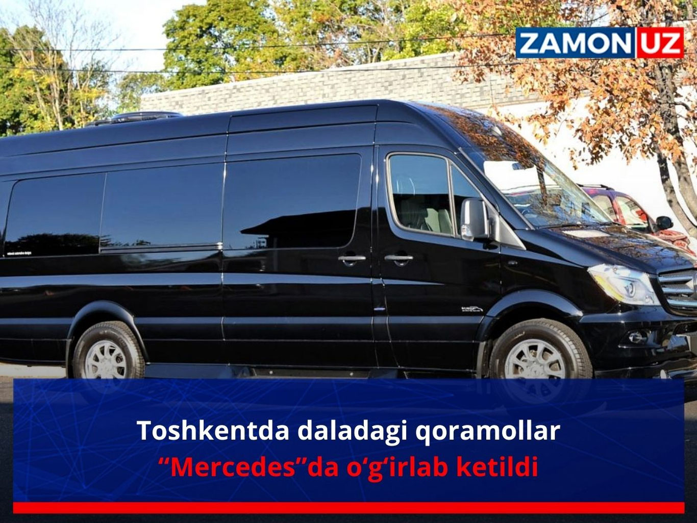 Тошкентда даладаги қорамоллар “Mercedes”да ўғирлаб кетилди
