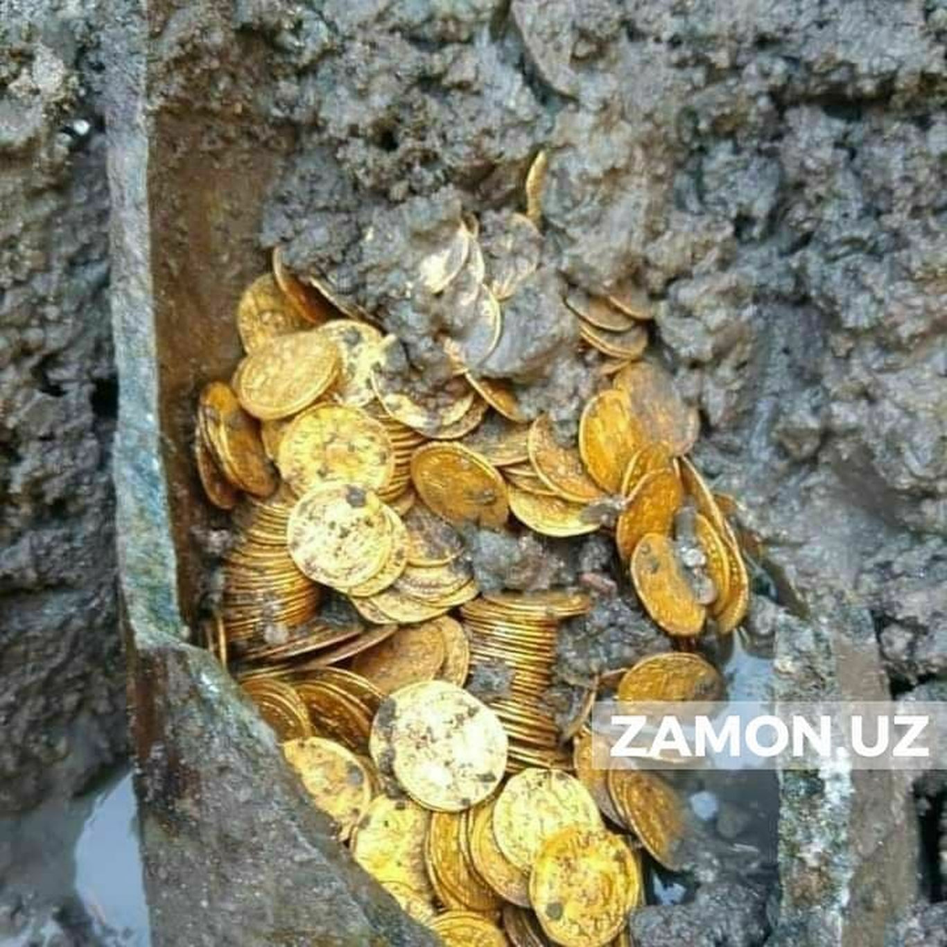 Сўх туманида хум ичида тилла топилди