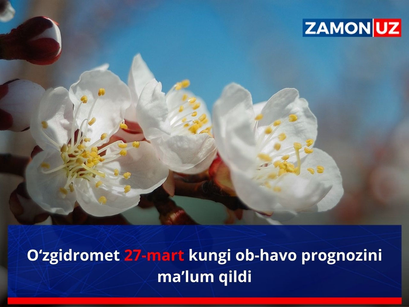 O‘zgidromet 27-mart kungi ob-havo prognozini ma’lum qildi