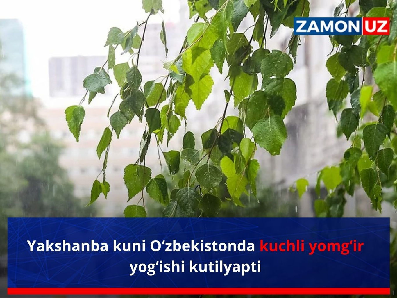 Yakshanba kuni O‘zbekistonda kuchli yomg‘ir yog‘ishi kutilyapti