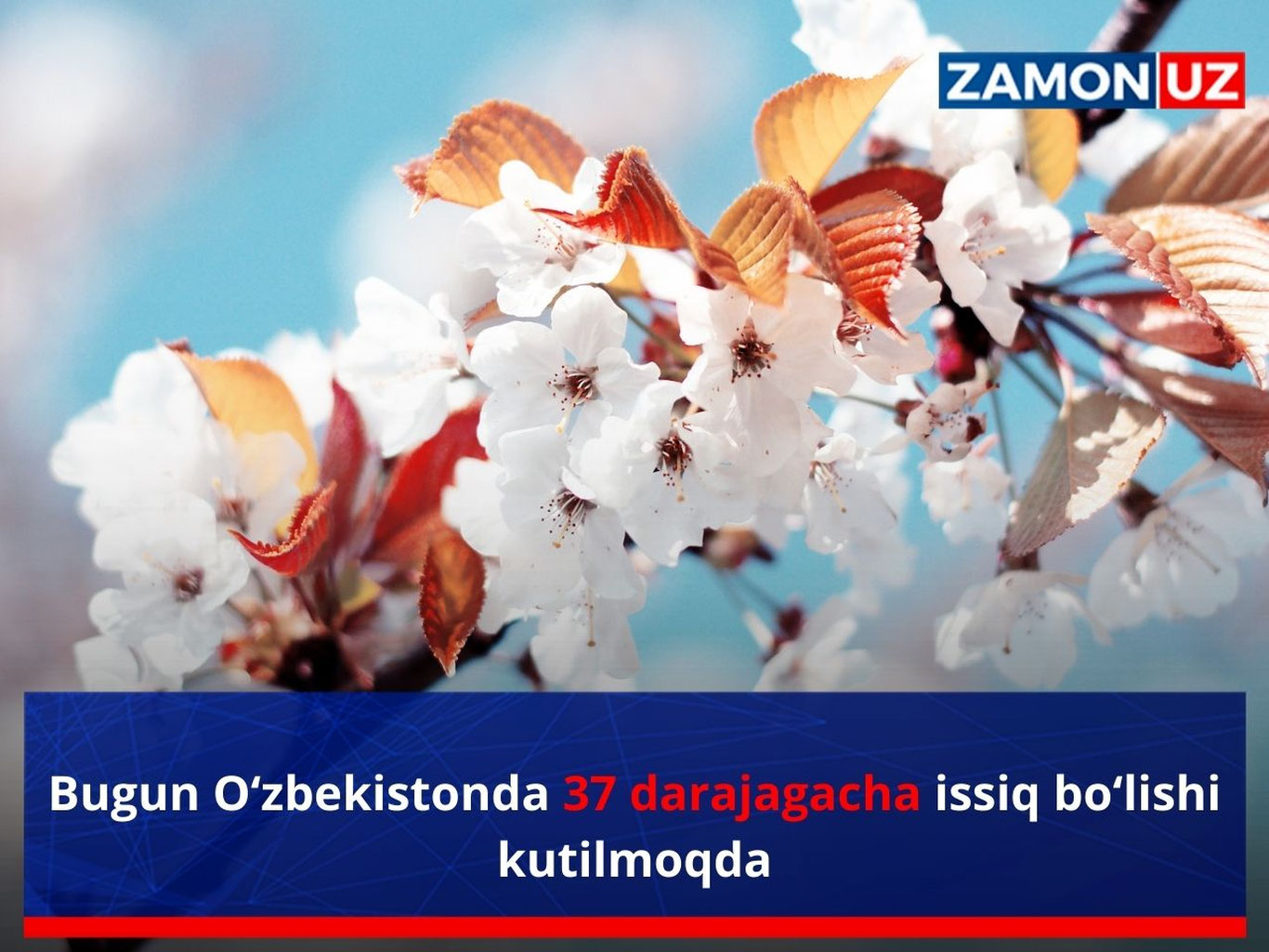 Bugun O‘zbekistonda 37 darajagacha issiq bo‘lishi kutilmoqda
