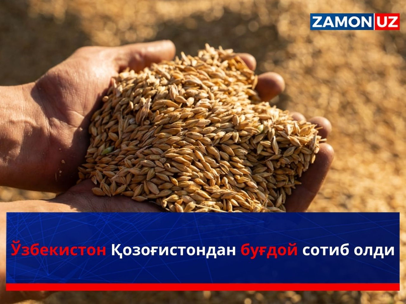 O‘zbekiston Qozog‘istondan bug‘doy sotib oldi