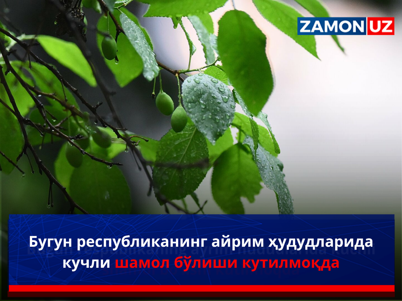 Бугун республиканинг айрим ҳудудларида кучли шамол бўлиши кутилмоқда