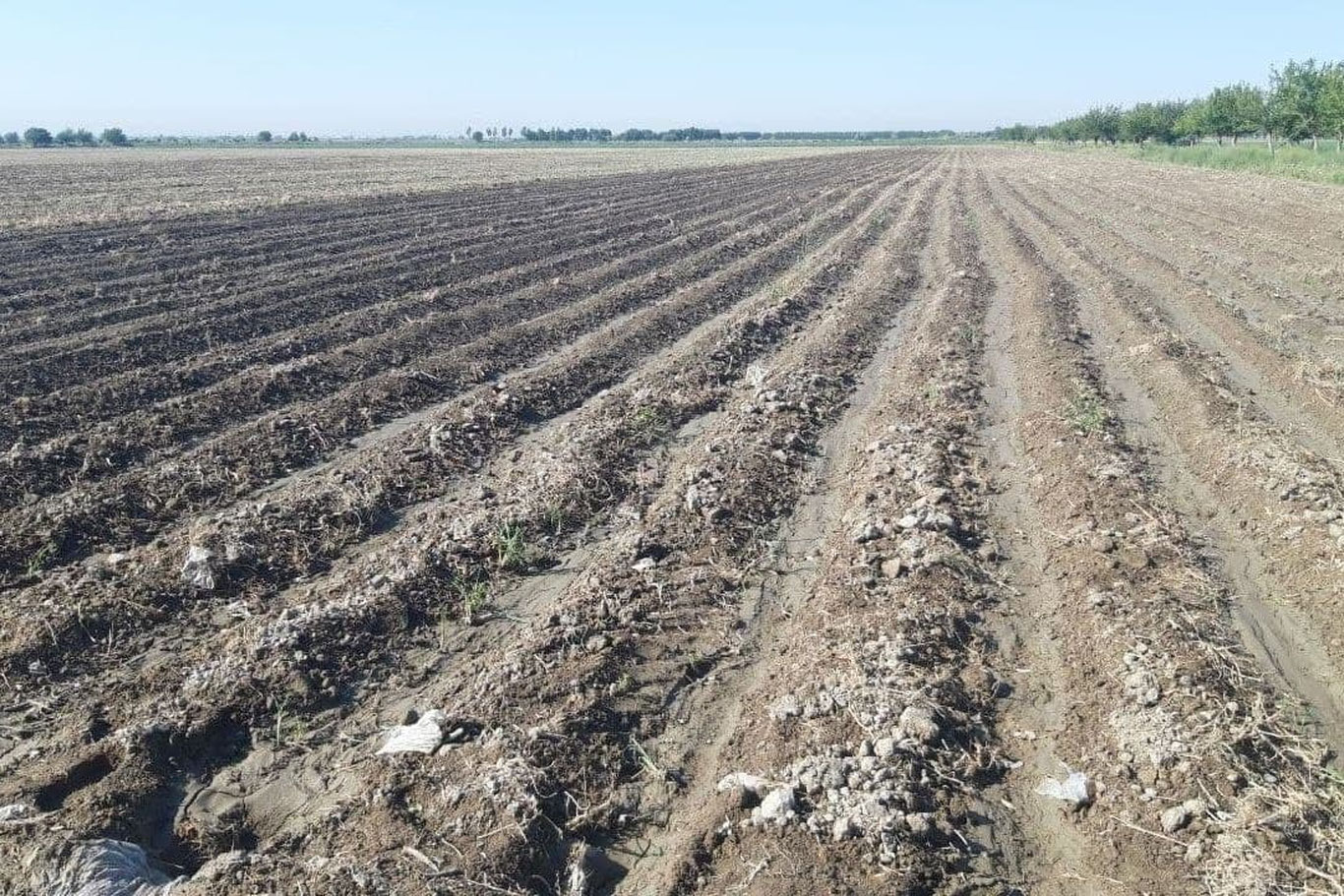 Айрим аҳоли қатламлар ер учун барча тўловлардан озод қилинади