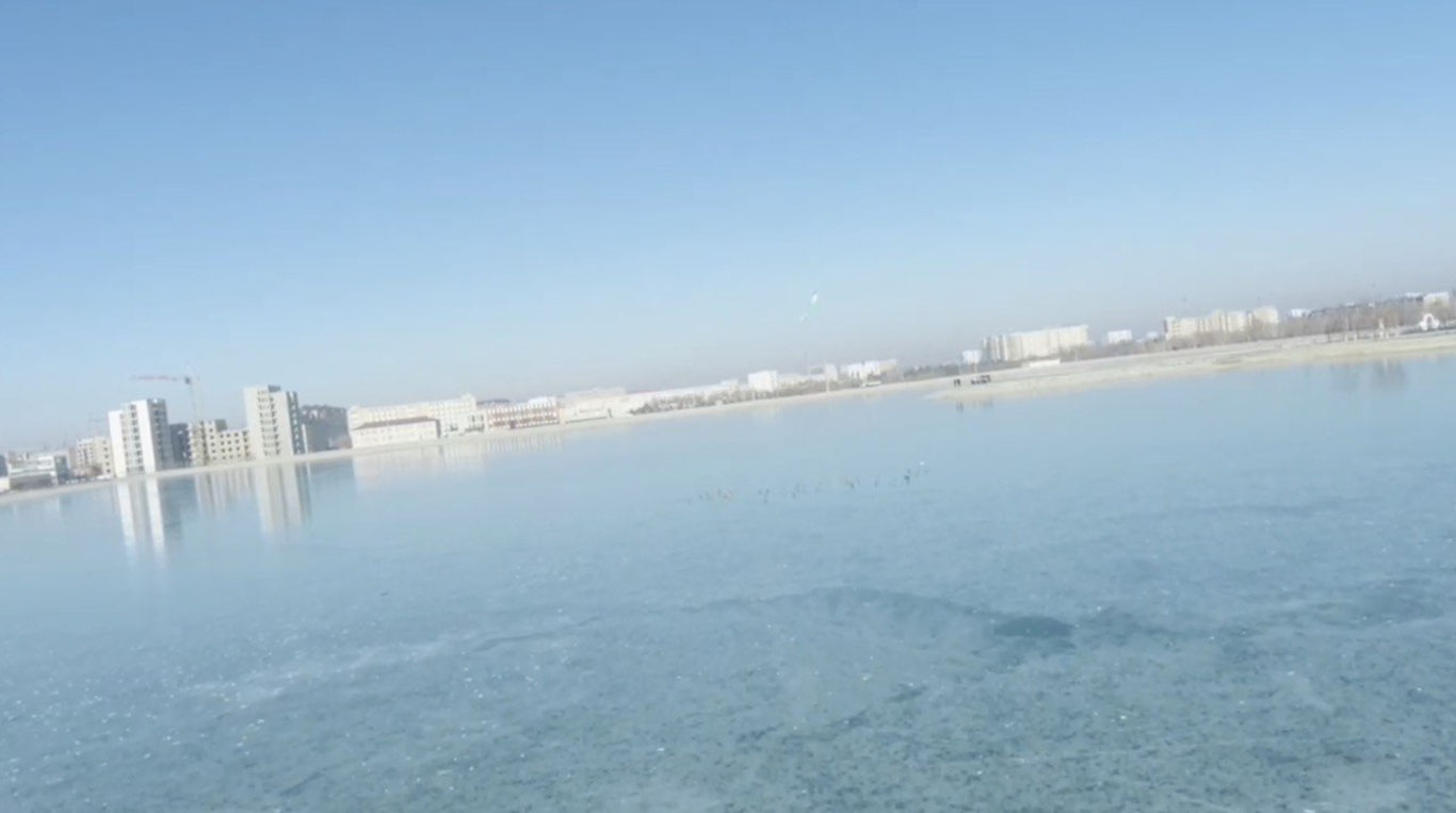 Навоийда ўрдаклар совуқ сабаб кўлга ёпишиб қолди