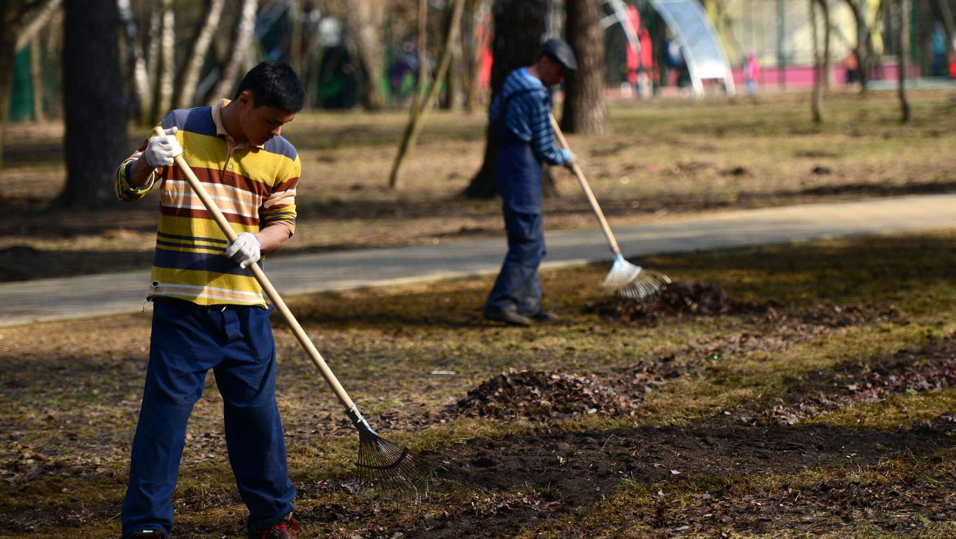 Aliment to‘lamagan otalar majburiy jamoat ishlariga jalb qilinadi