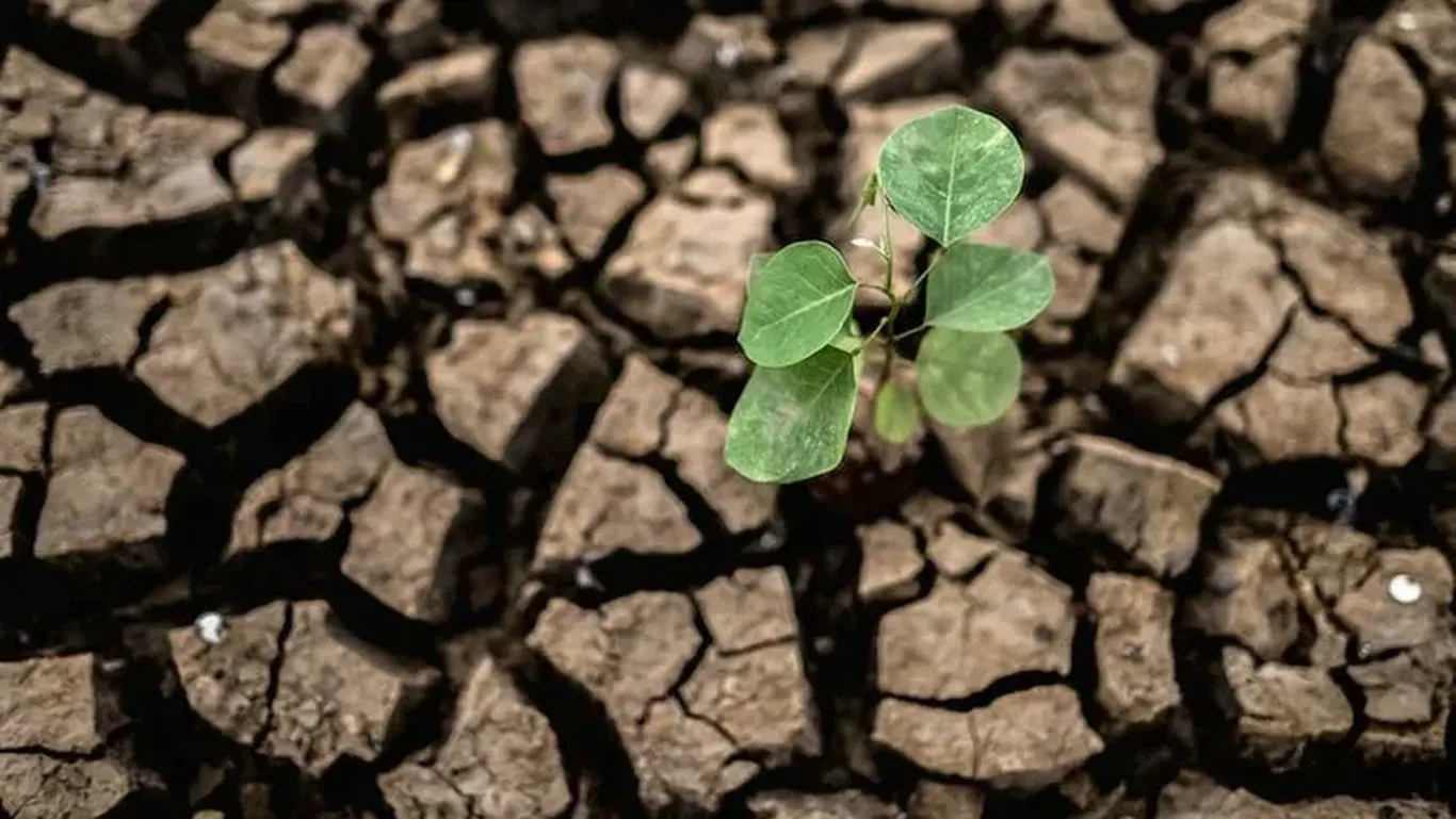 Аср охирига бориб, дунёнинг 1/5 қисми жазирамадан азият чекади