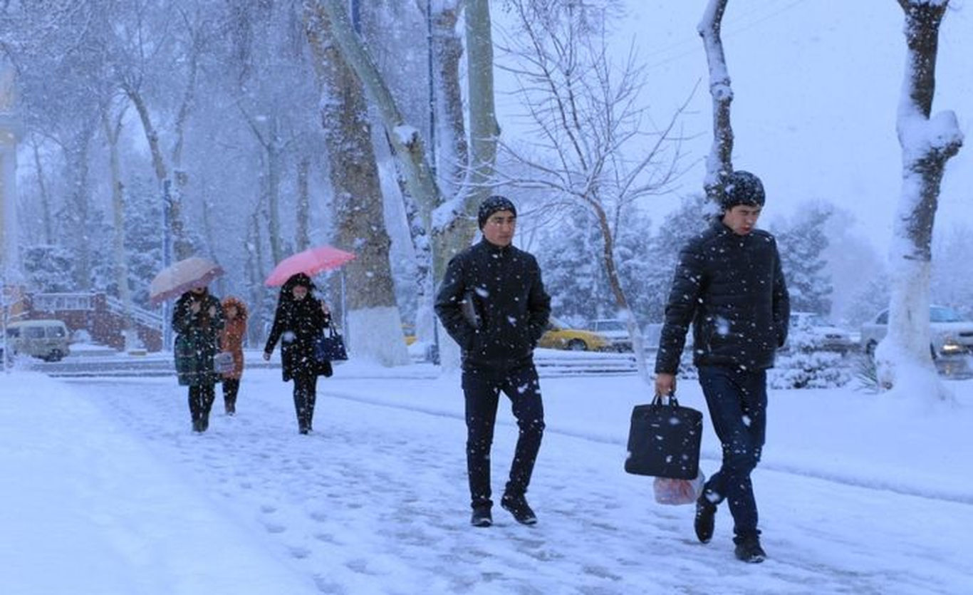 Талабалар учун ўқиш қачондан бошланади?