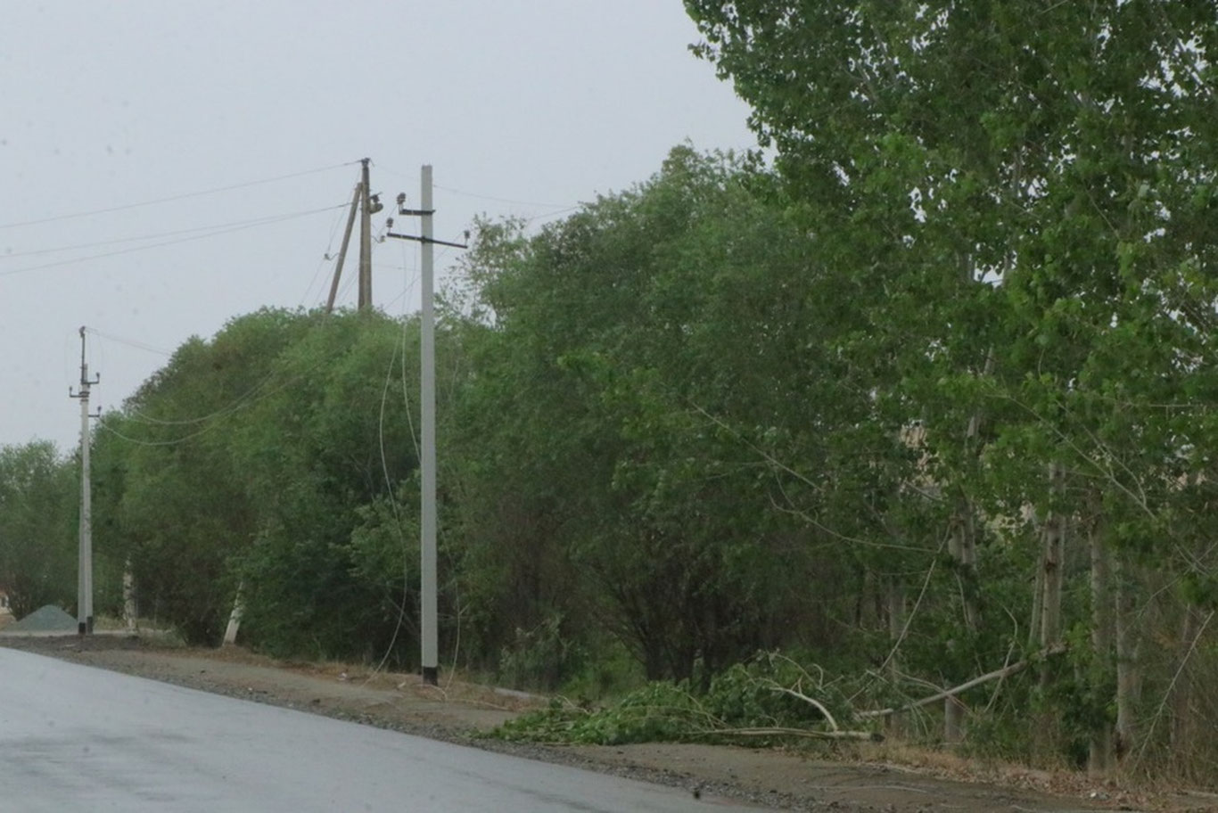 Erta tongda Xorazmda kuchli shamol va chang bo‘roni kuzatildi — video