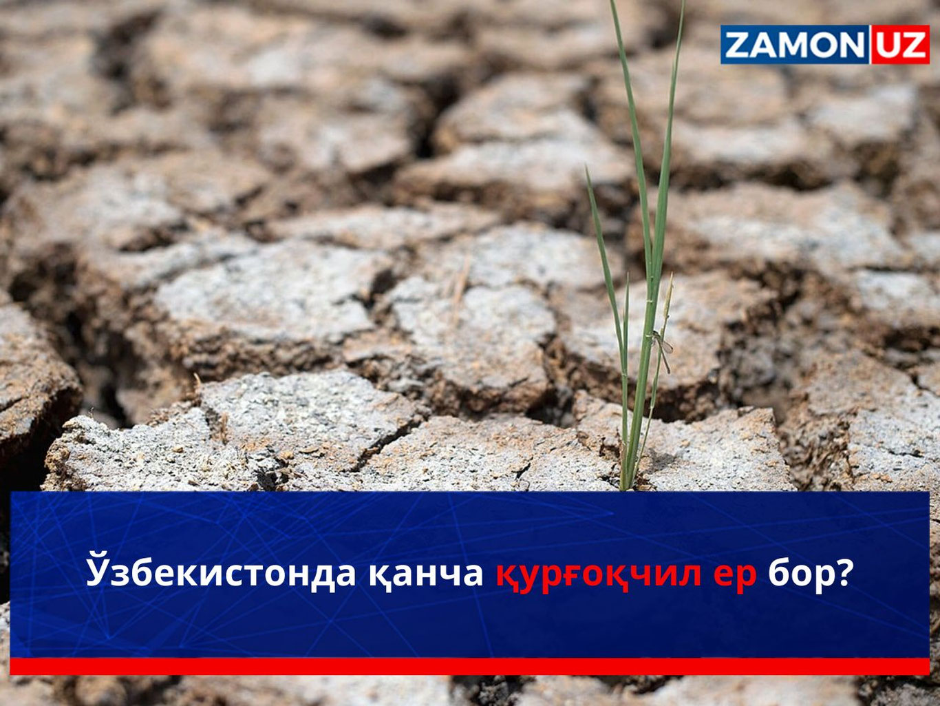Ўзбекистонда қанча қурғоқчил ер бор?