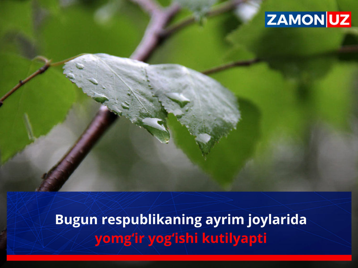 Бугун Ўзбекистоннинг айрим жойларида ёмғир ёғиши кутиляпти