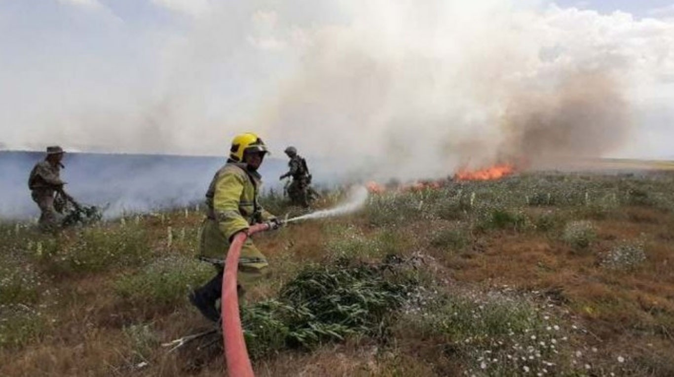 Қибрайда 2,5 гектар майдонда ёнғин содир бўлди