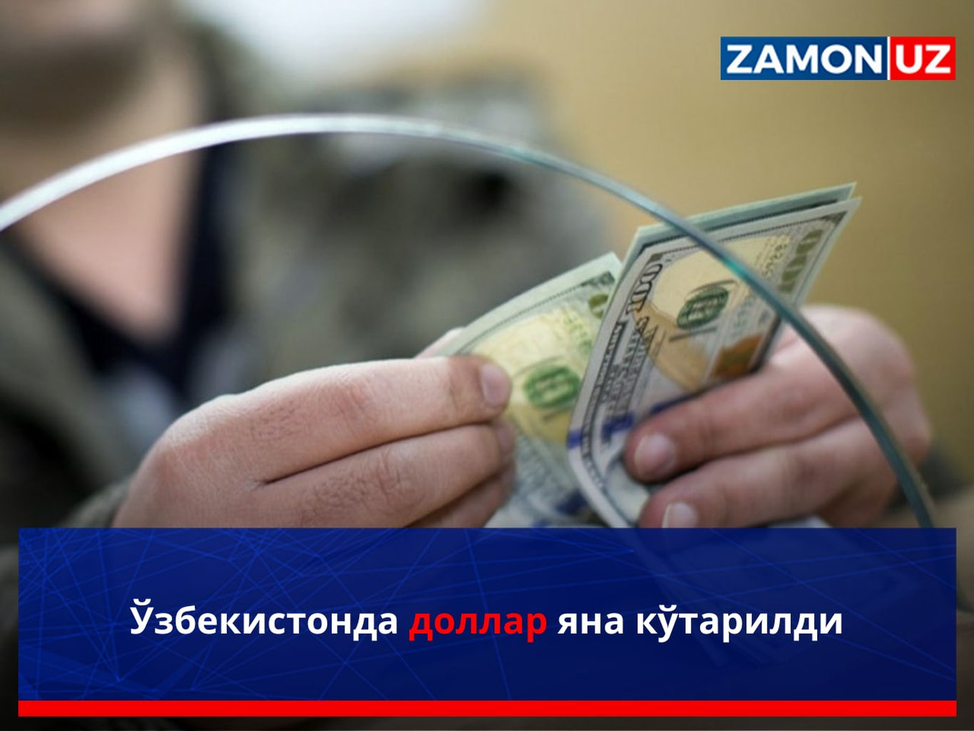 Ўзбекистонда доллар яна кўтарилди