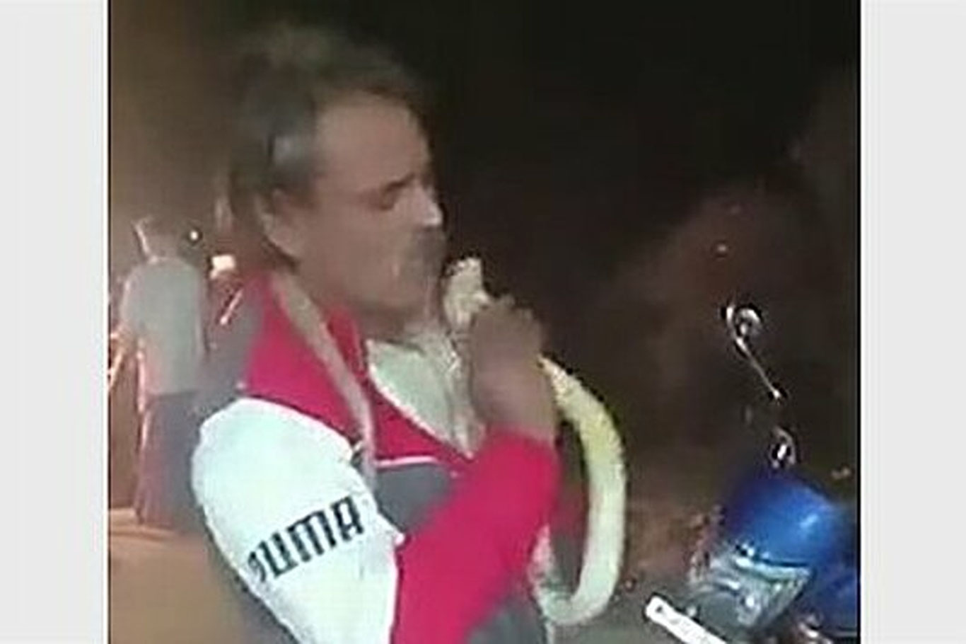 Илонларга муҳаббат қўйган эркак кобра чақишидан вафот этди