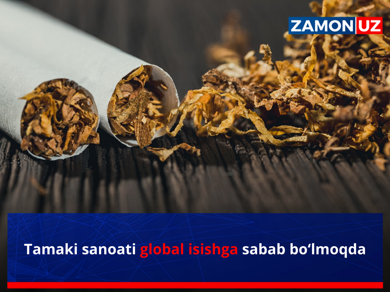 Тамаки саноати глобал исишга сабаб бўлмоқда