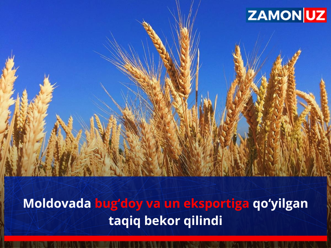 Moldovada bug‘doy va un eksportiga qo‘yilgan taqiq bekor qilindi