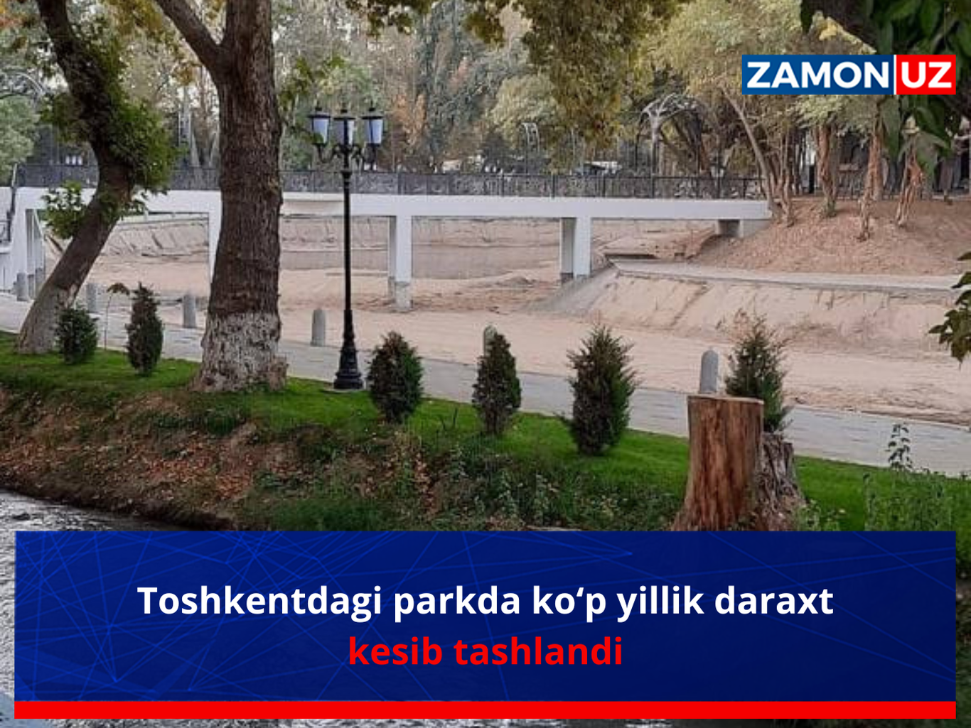 Toshkentdagi parkda ko‘p yillik daraxt kesib tashlandi