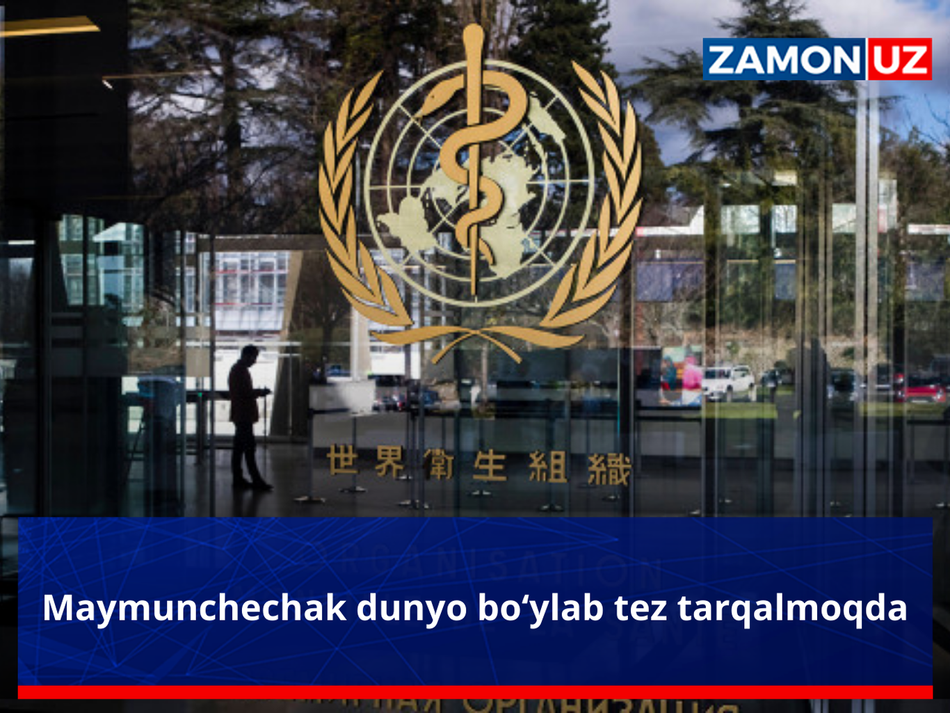 Maymunchechak dunyo bo‘ylab tez tarqalmoqda