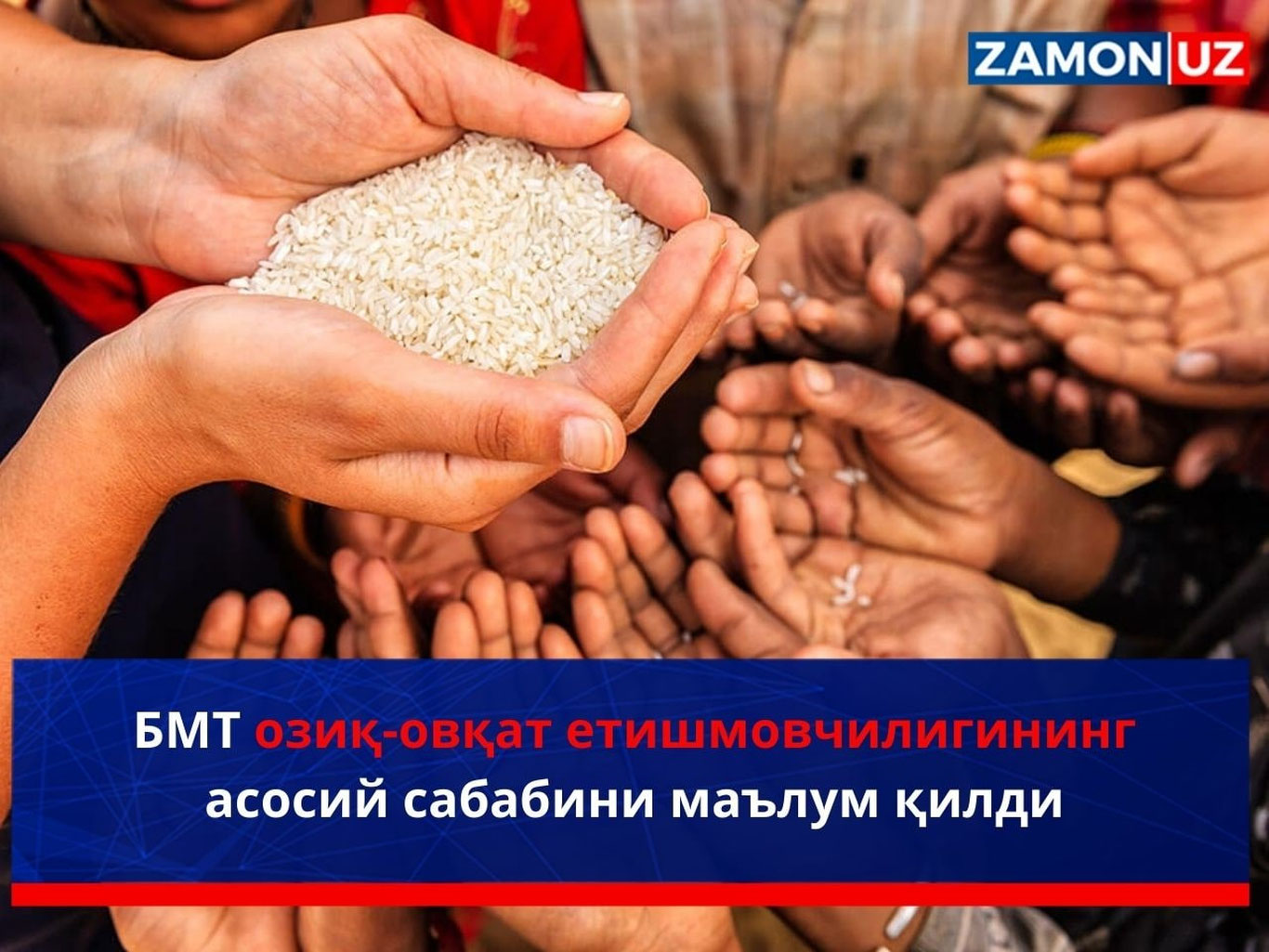 БМТ озиқ-овқат етишмовчилигининг асосий сабабини маълум қилди