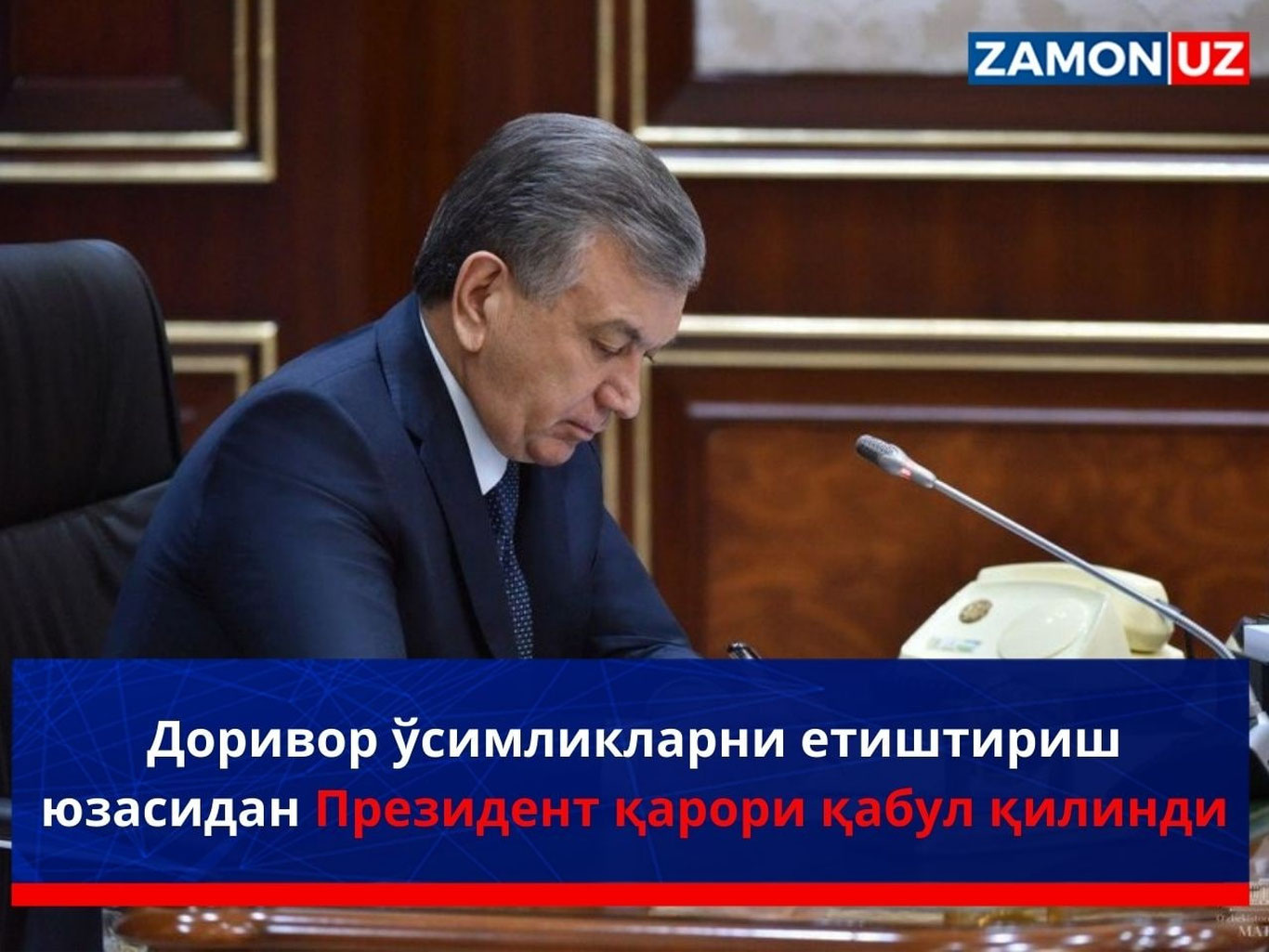 Dorivor o‘simliklarni yetishtirish yuzasidan Prezident qarori qabul qilindi