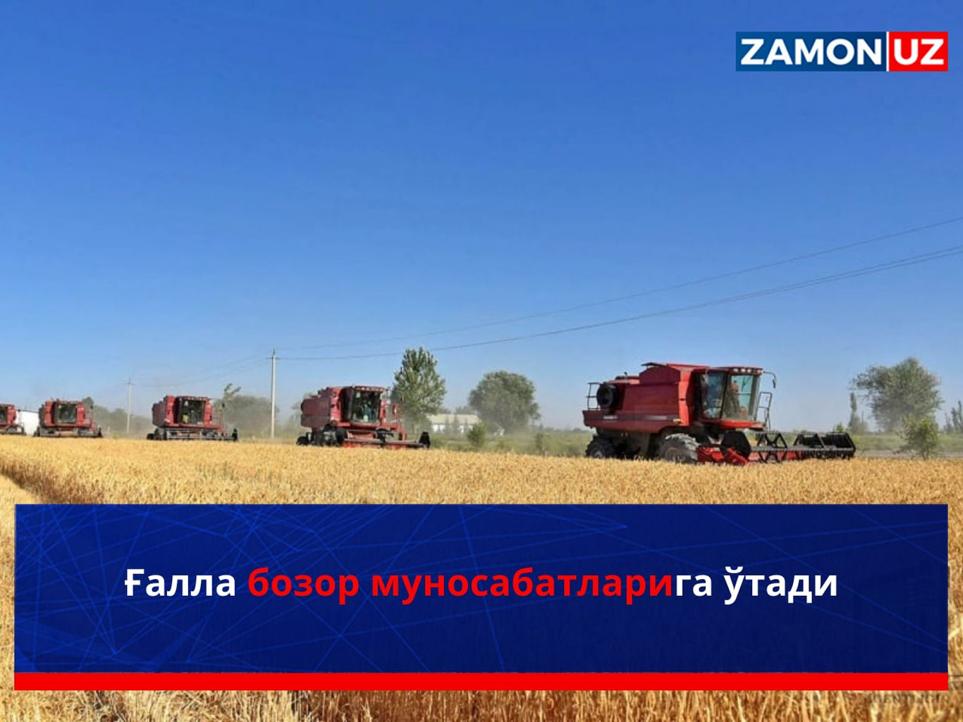 G‘alla bozor munosabatlariga o‘tadi