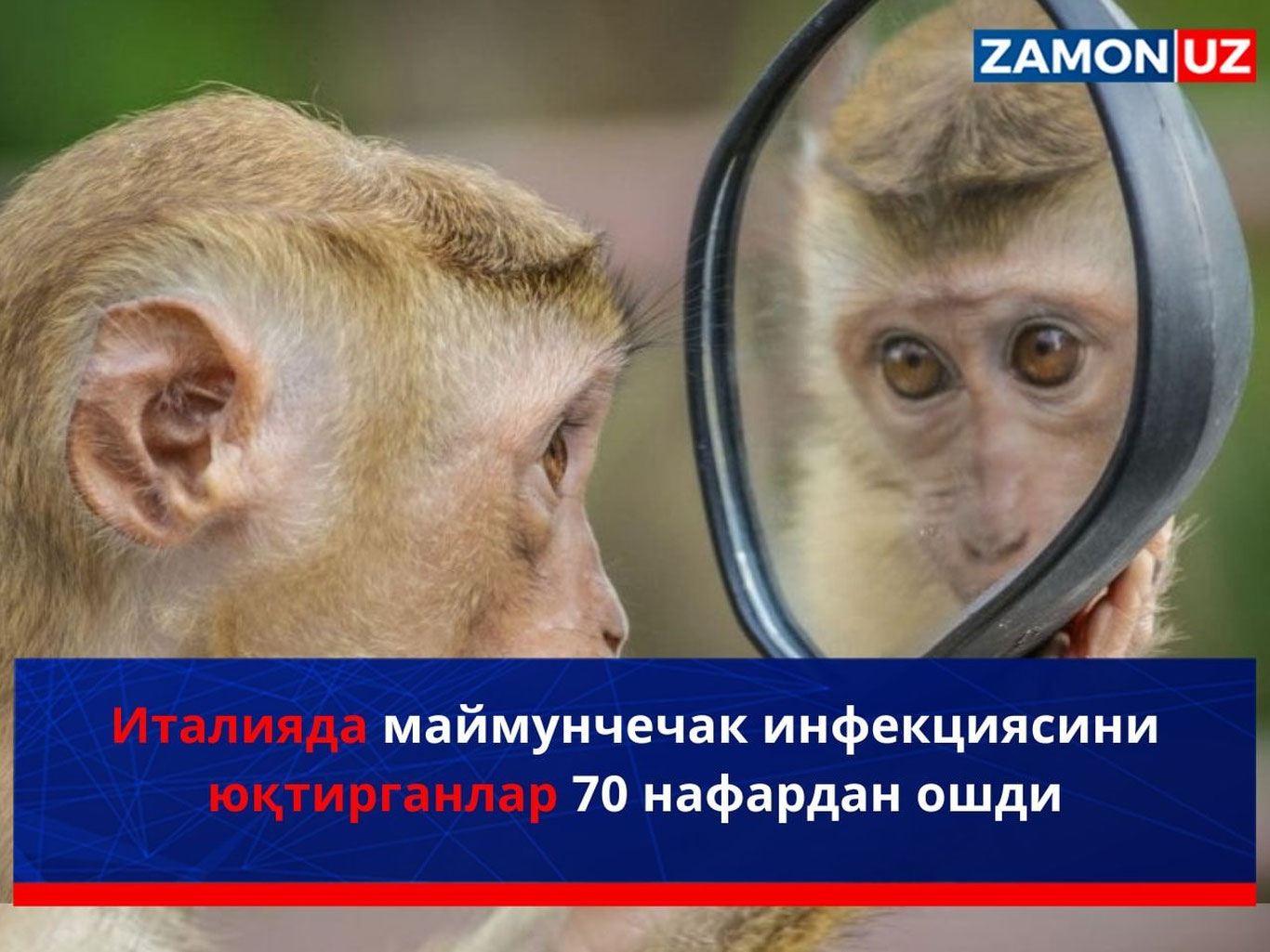 Италияда маймунчечак инфекциясини юқтирганлар 70 нафардан ошди