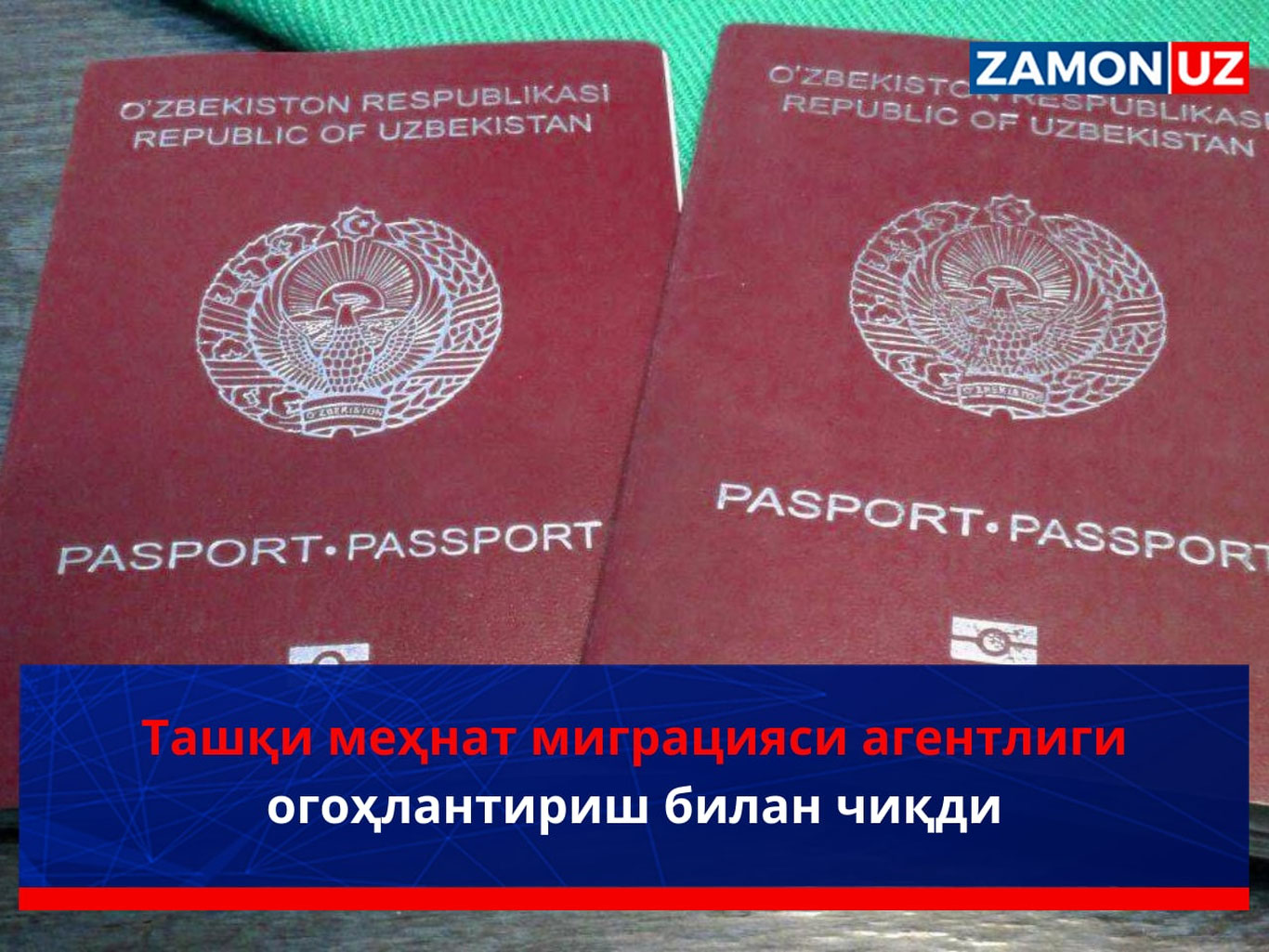 Tashqi mehnat migratsiyasi agentligi ogohlantirish bilan chiqdi