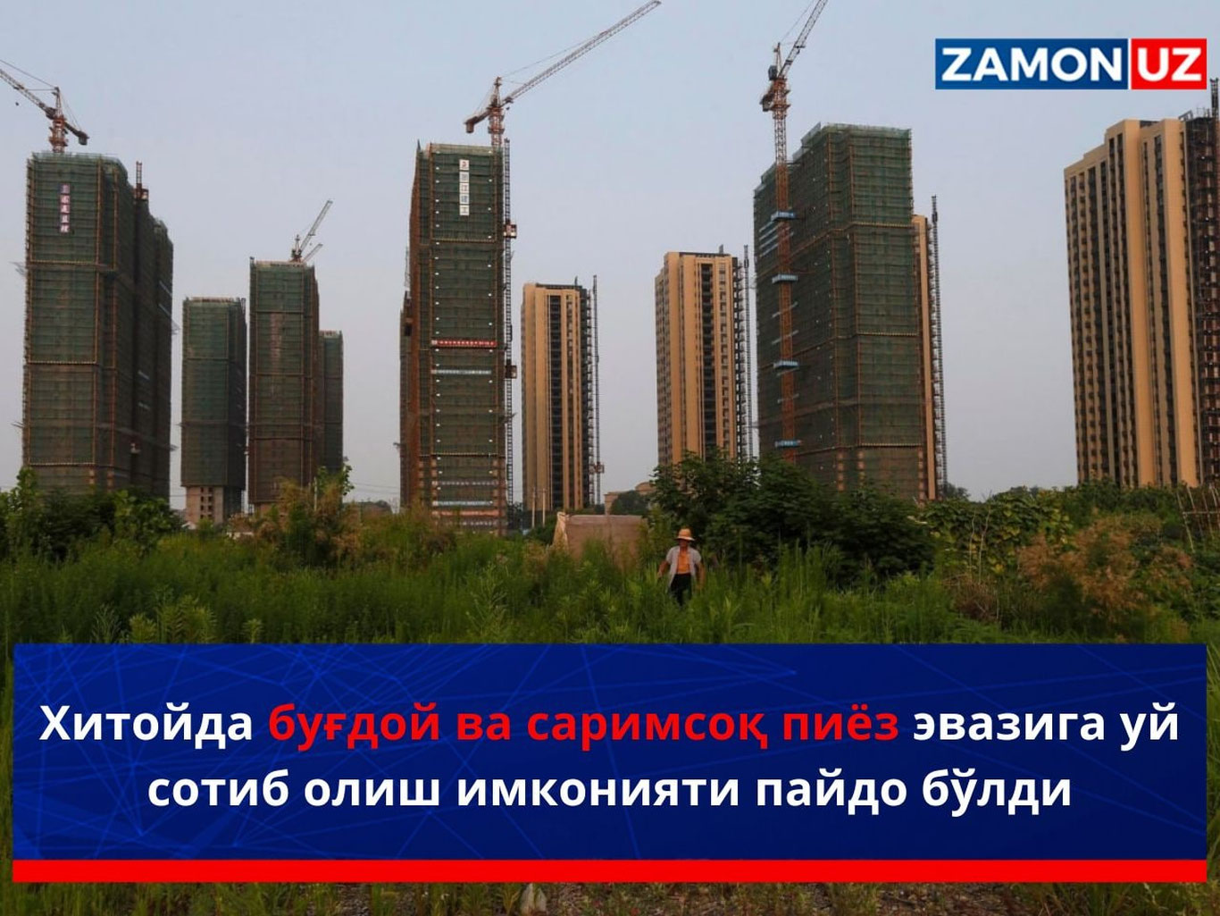Хитойда буғдой ва саримсоқ пиёз эвазига уй сотиб олиш имконияти пайдо бўлди