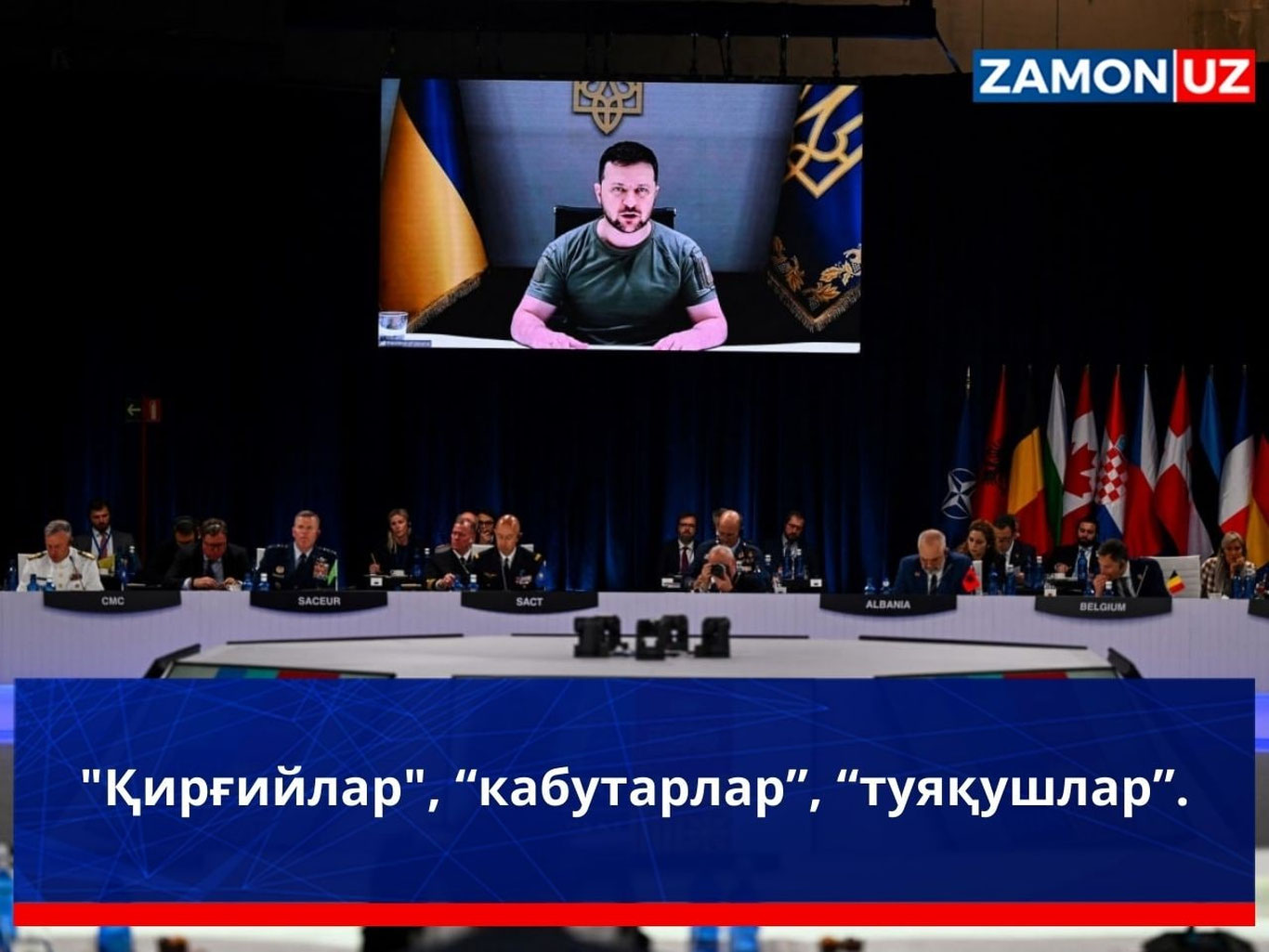 "Қирғийлар", “кабутарлар”, “туяқушлар”