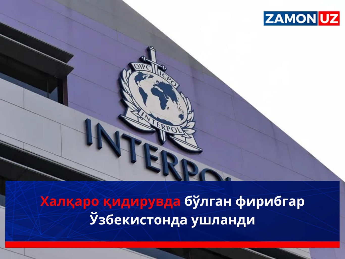 Xalqaro qidiruvda bo‘lgan firibgar O‘zbekistonda ushlandi