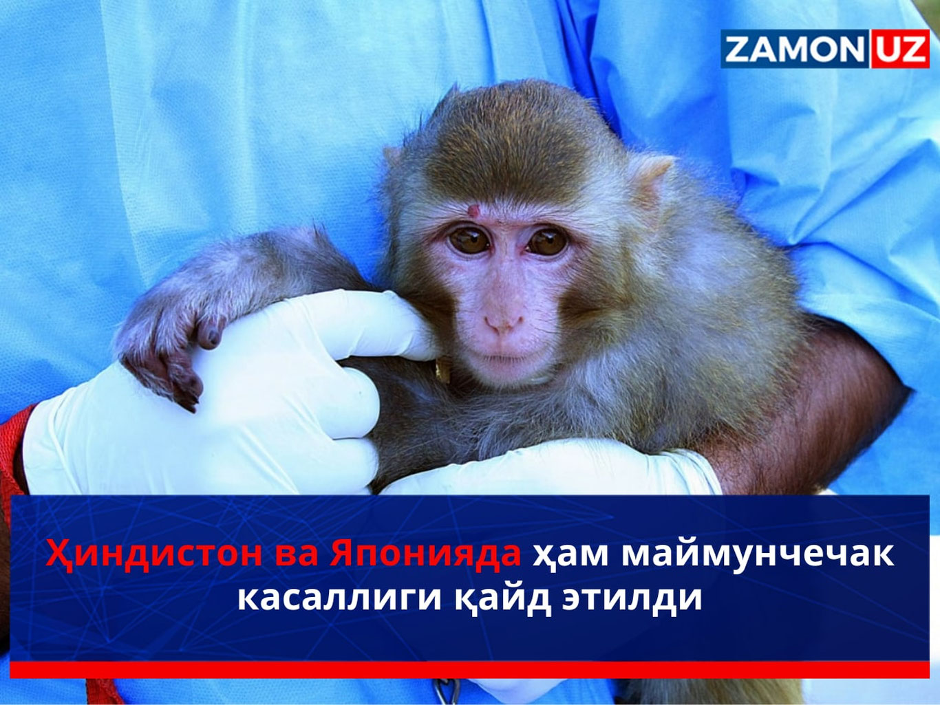 Ҳиндистон ва Японияда ҳам маймунчечак касаллиги қайд этилди