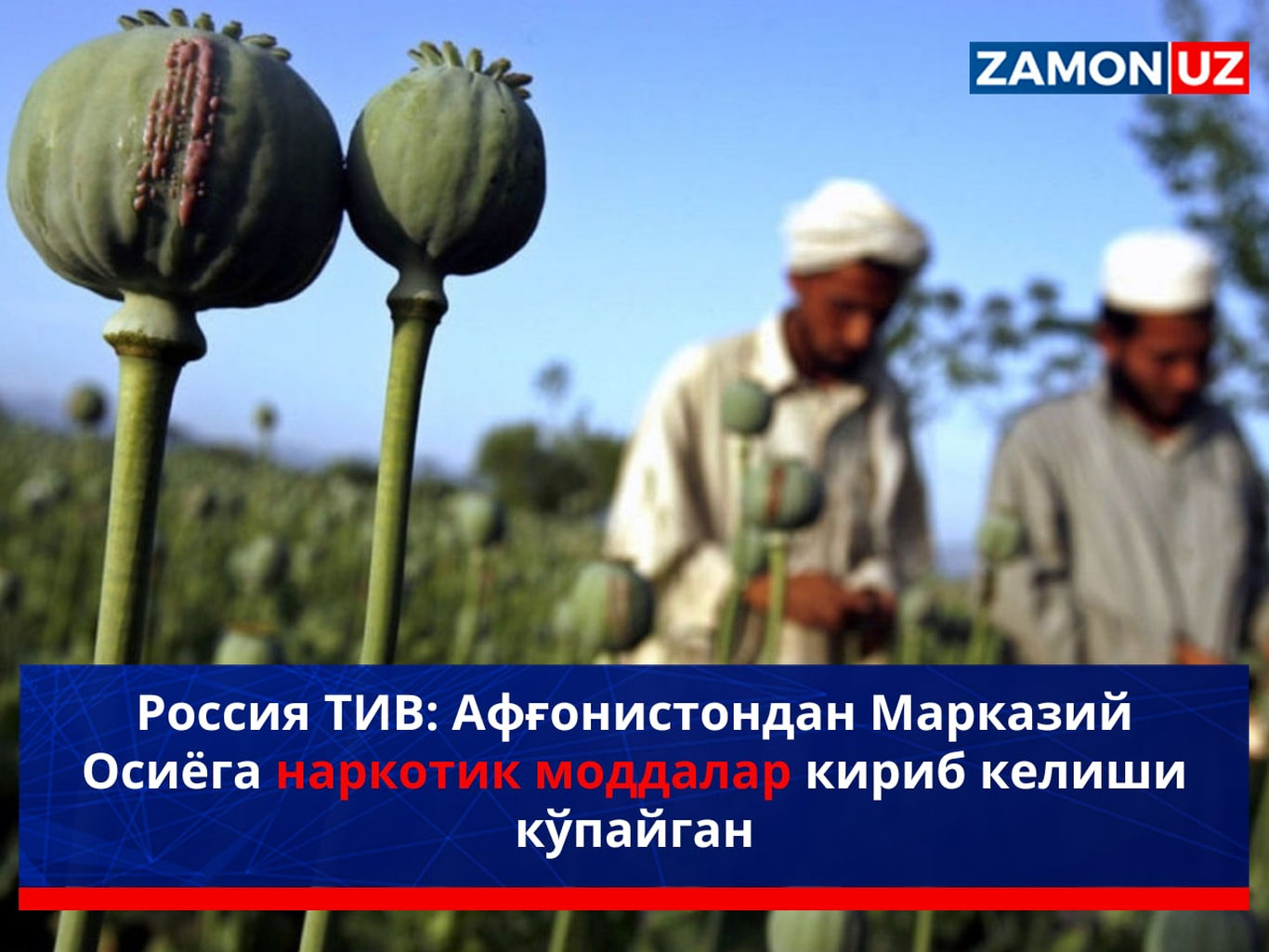 Rossiya TIV: Afg‘onistondan Markaziy Osiyoga narkotik moddalar kirib kelishi ko‘paygan