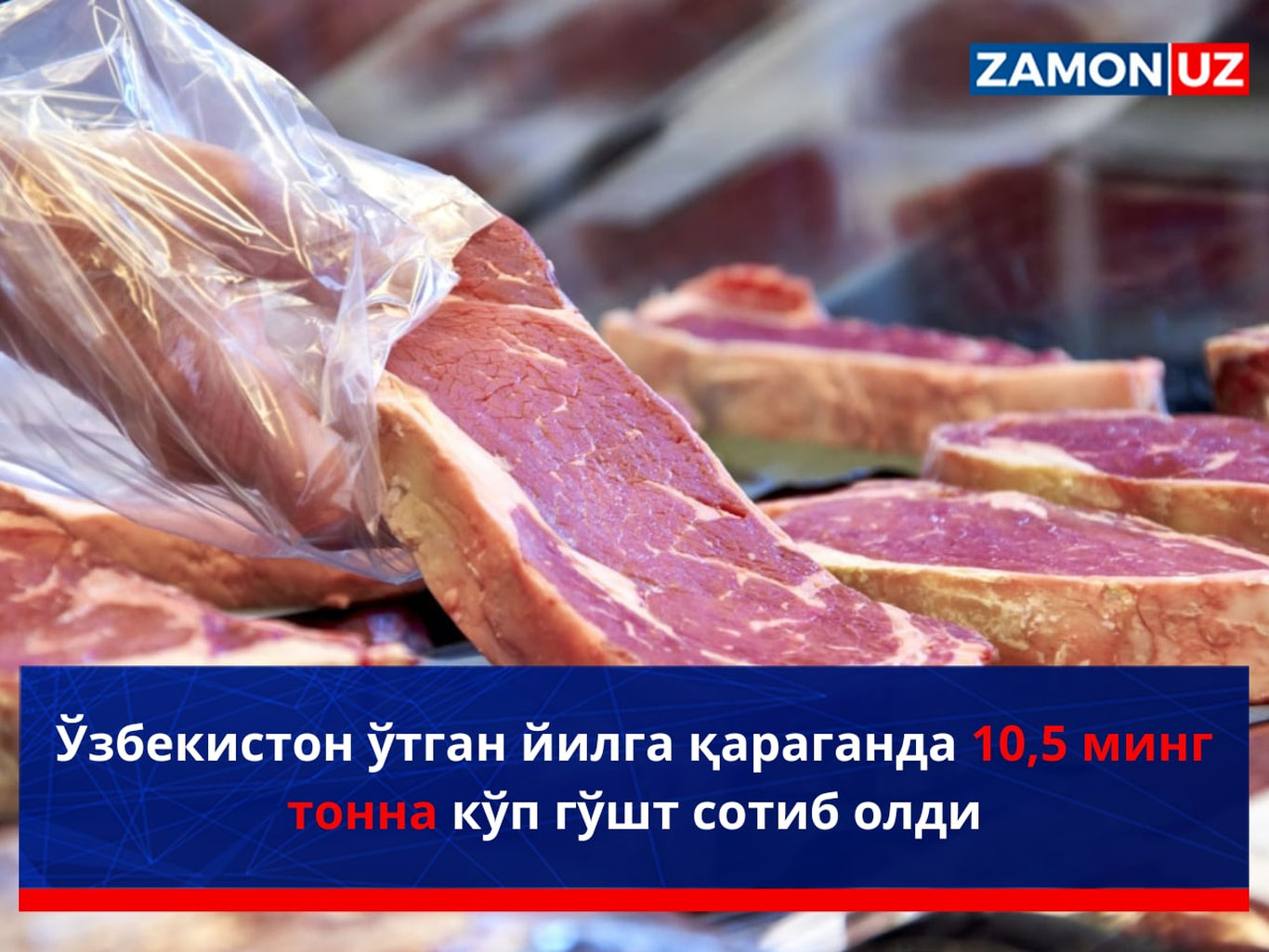 Ўзбекистон ўтган йилга қараганда 10,5 минг тонна кўп гўшт сотиб олди