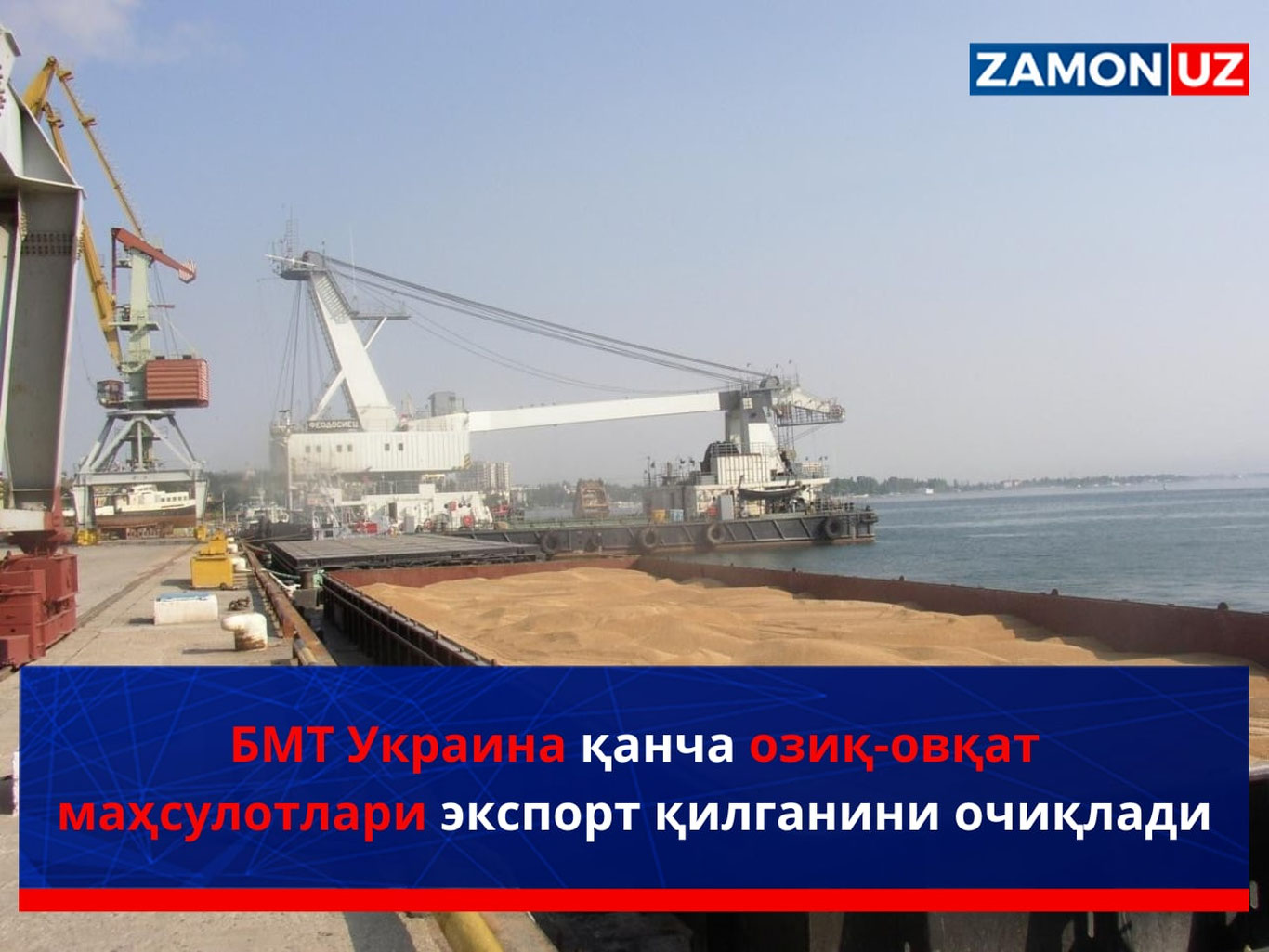BMT Ukraina qancha oziq-ovqat mahsulotlari eksport qilganini ochiqladi