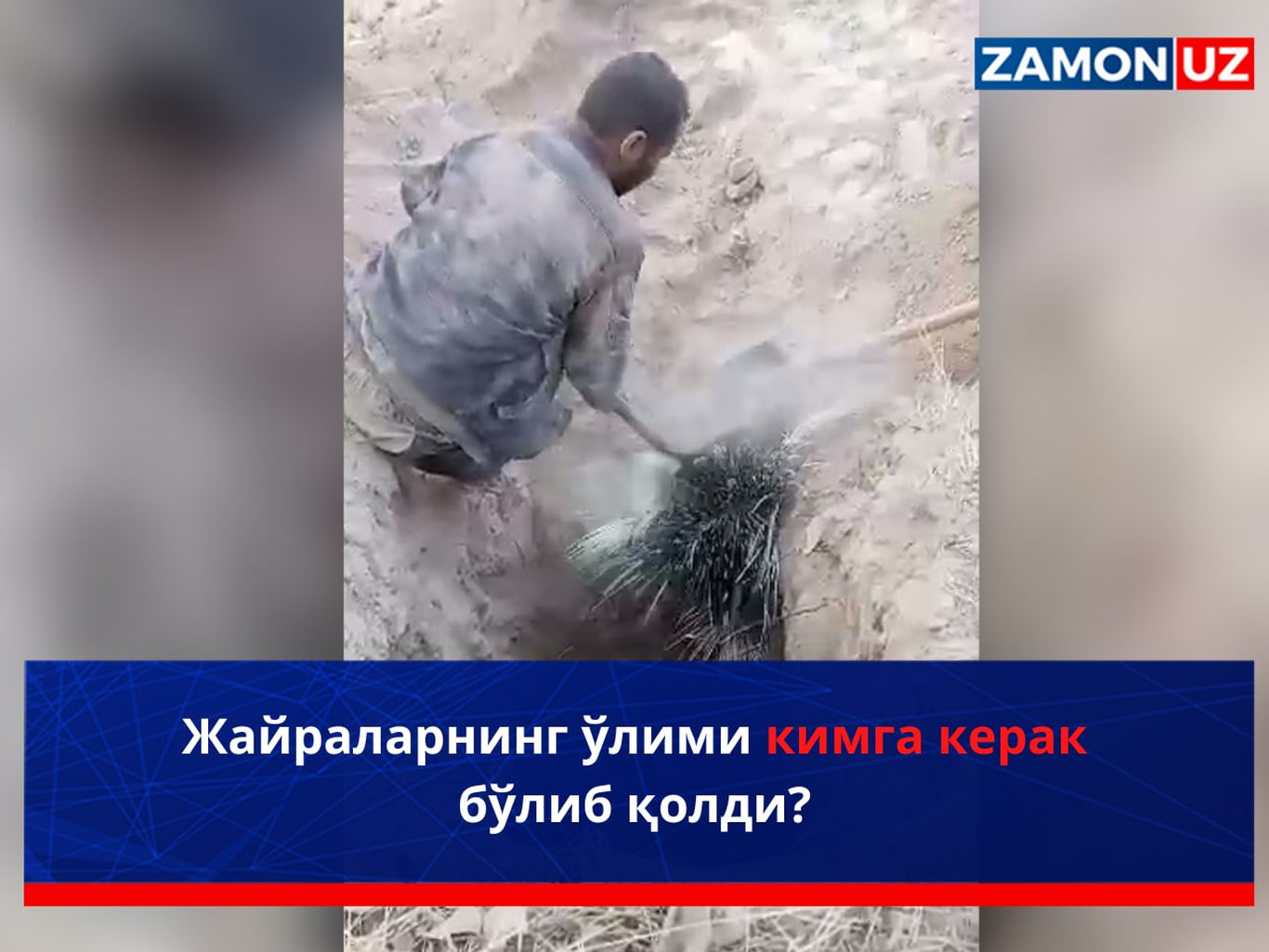 Jayralarning o‘limi kimga kerak bo‘lib qoldi?