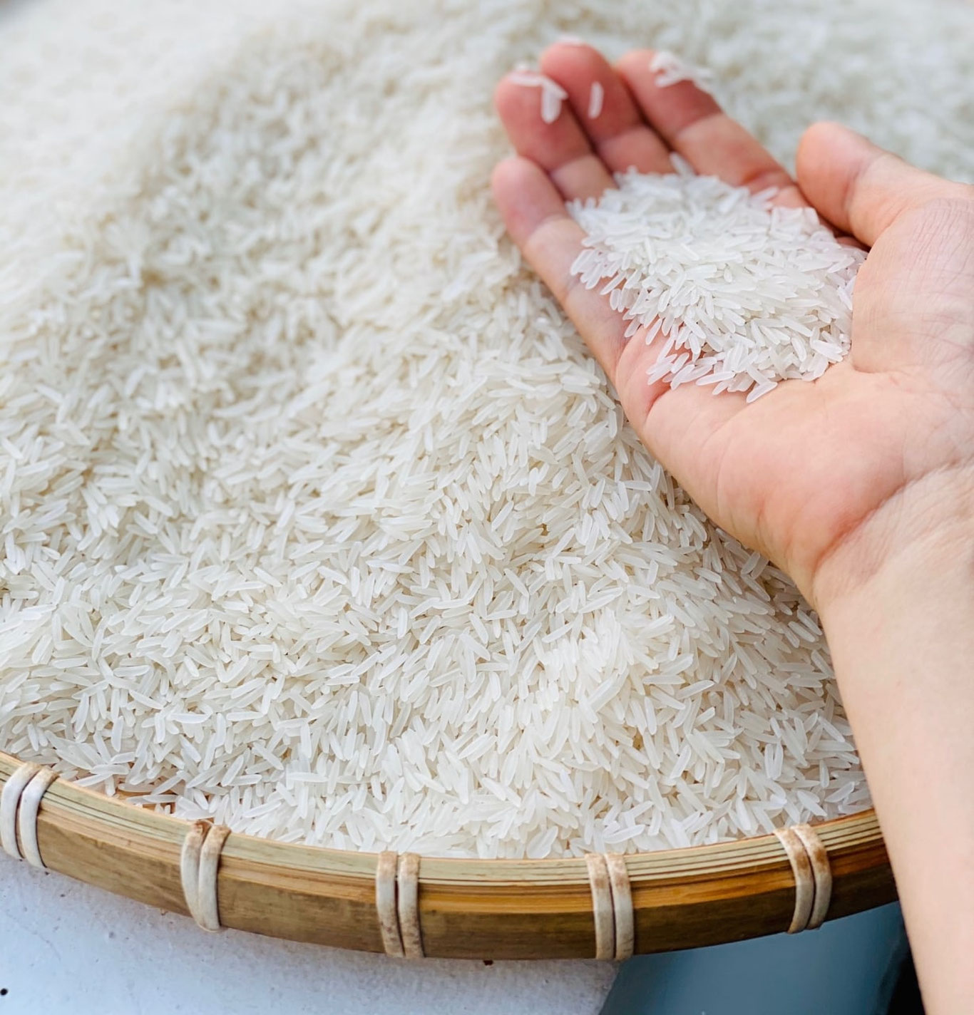 Ўзбекистон Мисрга гуруч экспорт қилиши мумкин