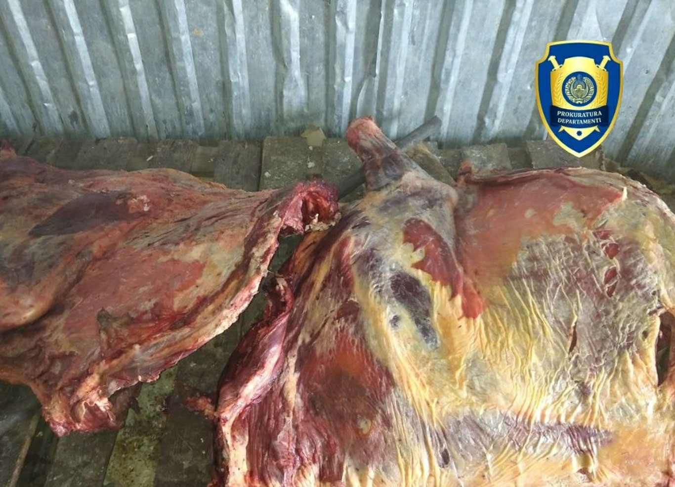 Сирдарёда Тошкентга келтирилаётган сифатсиз гўштлар аниқланди