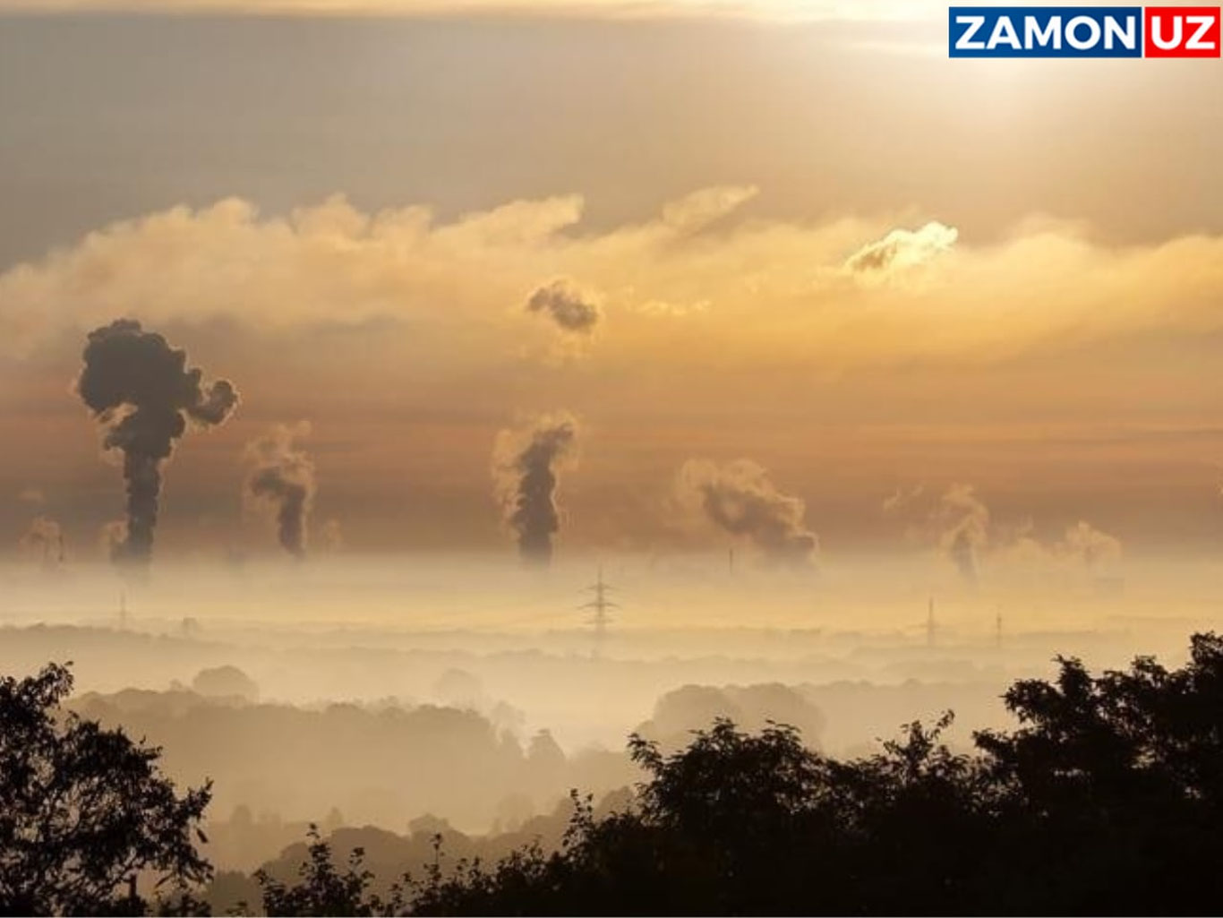 Olimlar issiqlik rekordlari yangilanishini prognoz qilmoqda