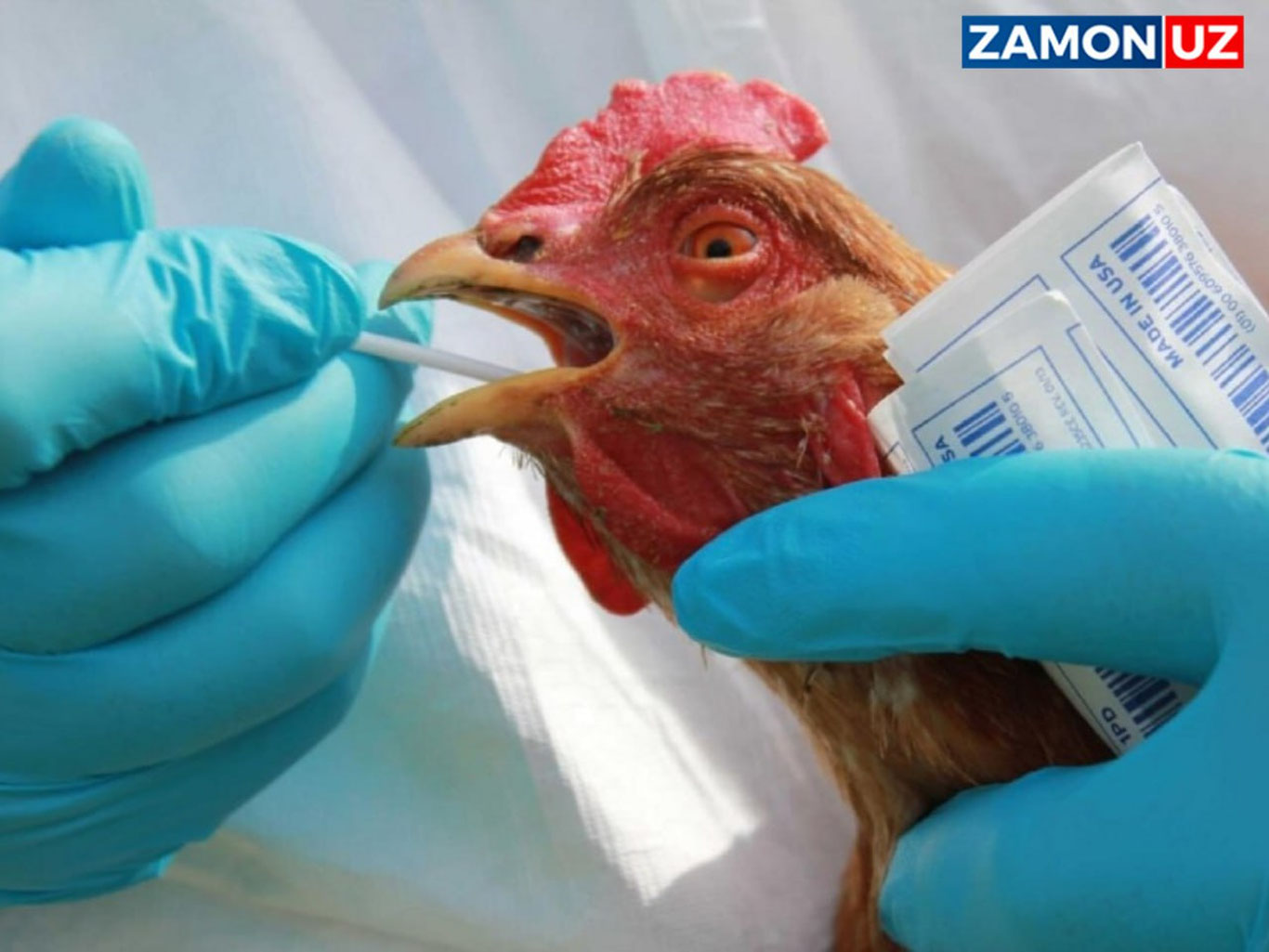 Дунё янги пандемияга дуч келиши мумкин