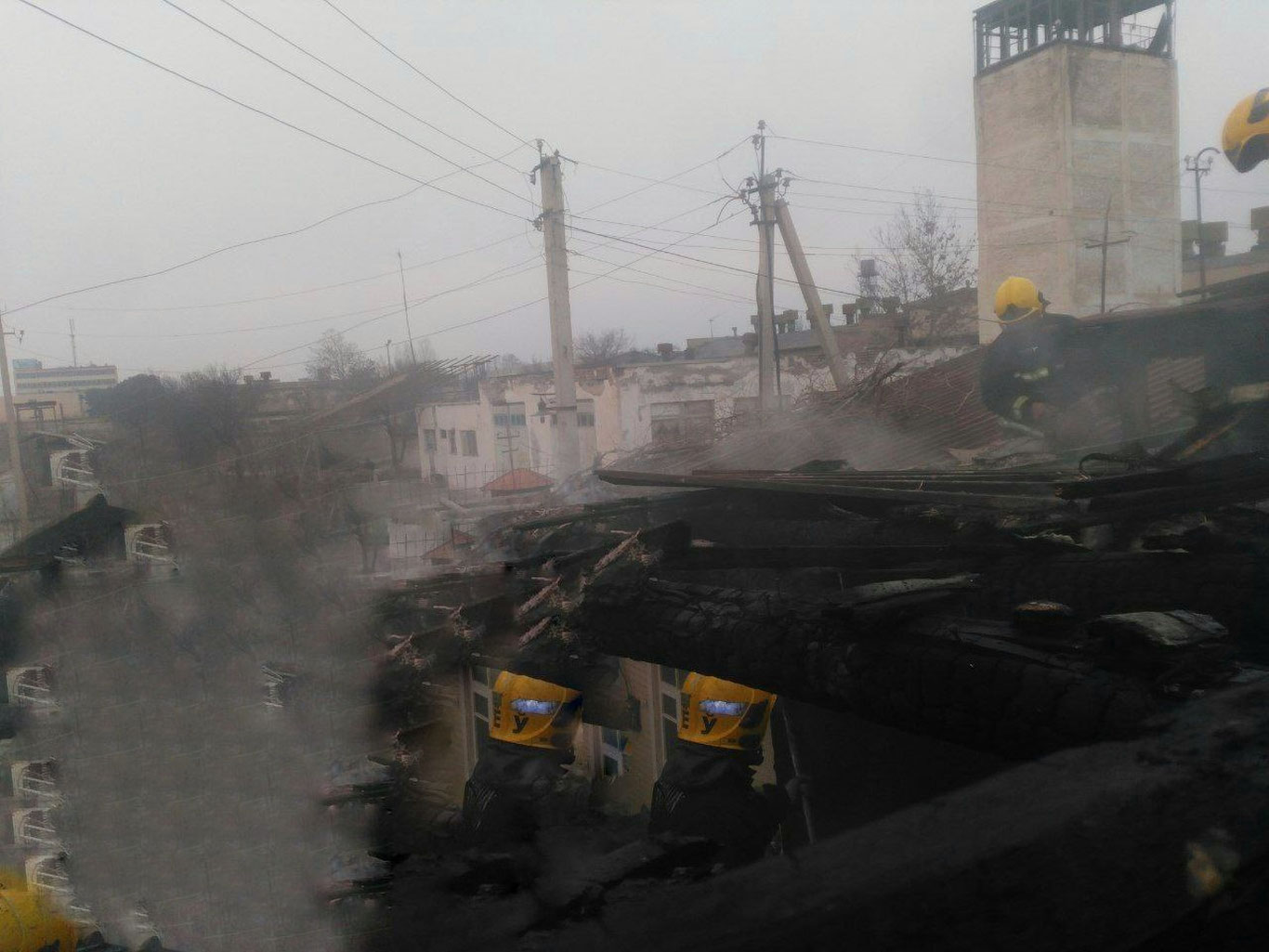 Наманганда уй ёниб кетди