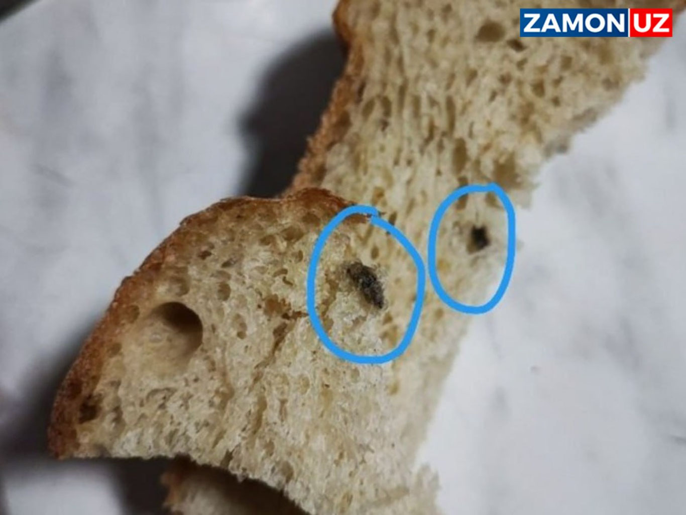 «Буханка» ичидан сичқон ахлати чиққани айтилди