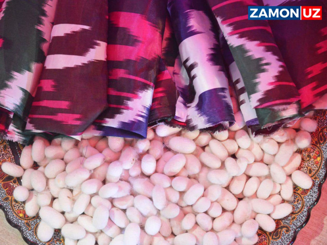 Pilla qurti urug‘i ishlab chiqaruvchilariga subsidiya beriladi