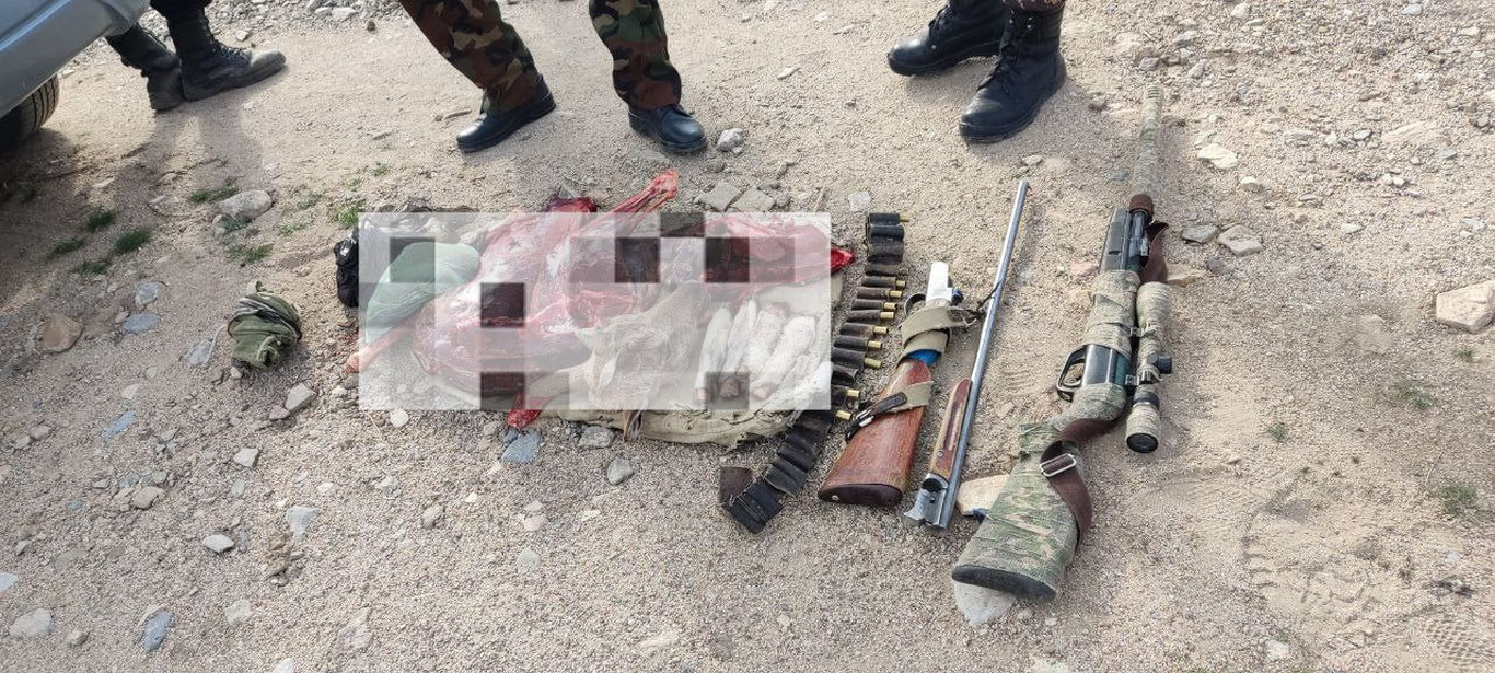 Сурхондарёда браконьерлар Қизил китобга киритилган ҳайвонни овлаб, табиатга 180 млн зарар етказди