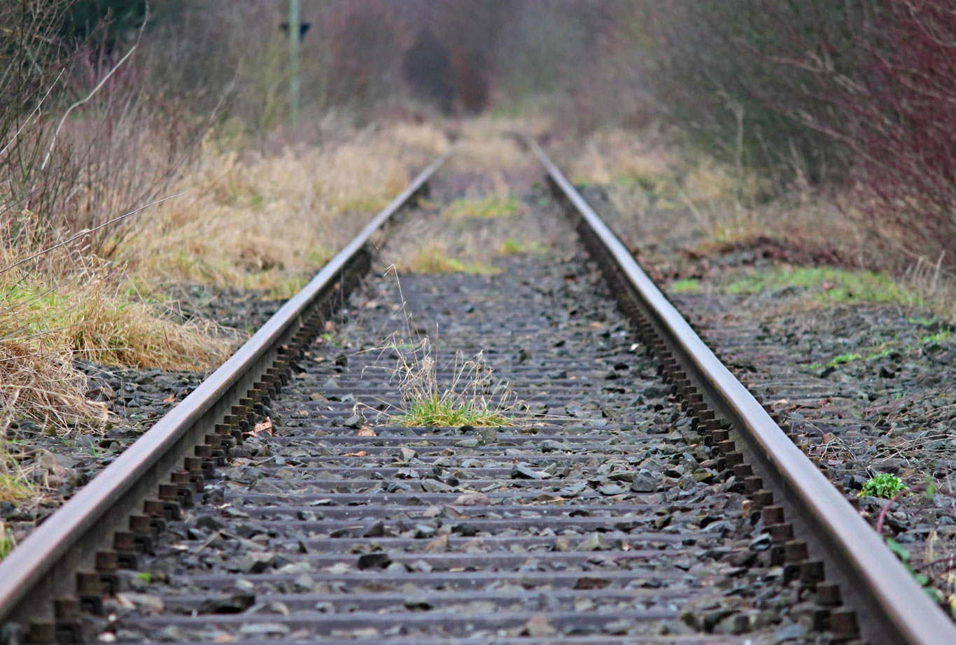 Қорақалпоғистонда поезд одамни босиб кетди