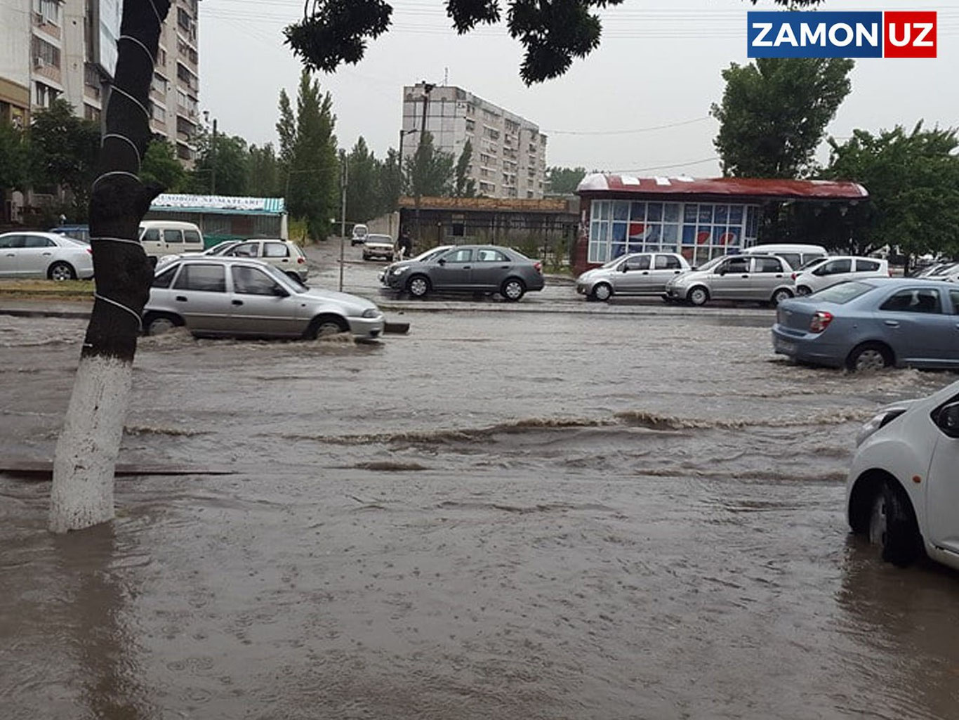 "Айбдор" топилди