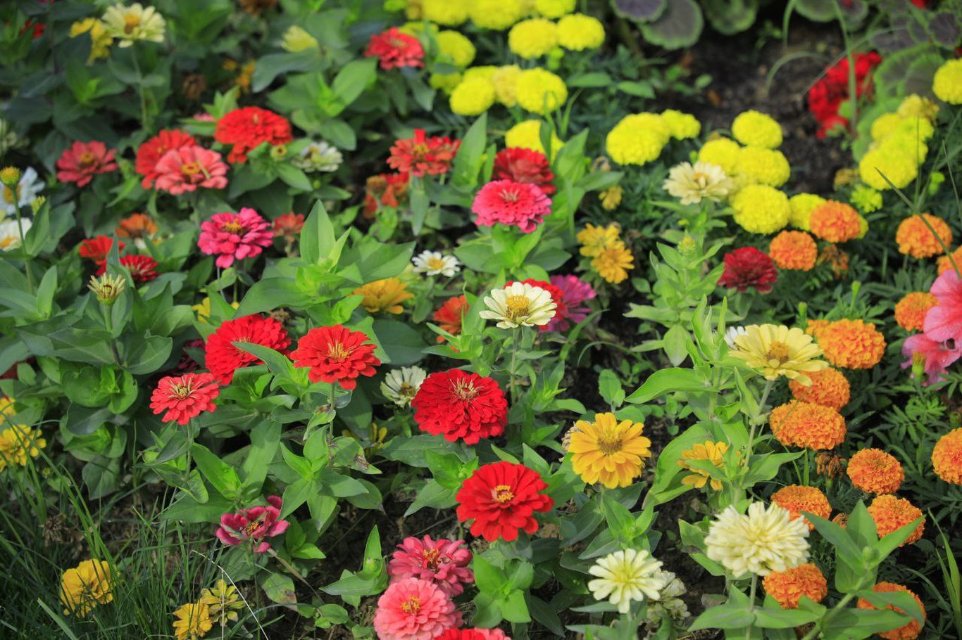 «Ўзгидромет» 26 апрель учун об-ҳаво прогнозини маълум қилди